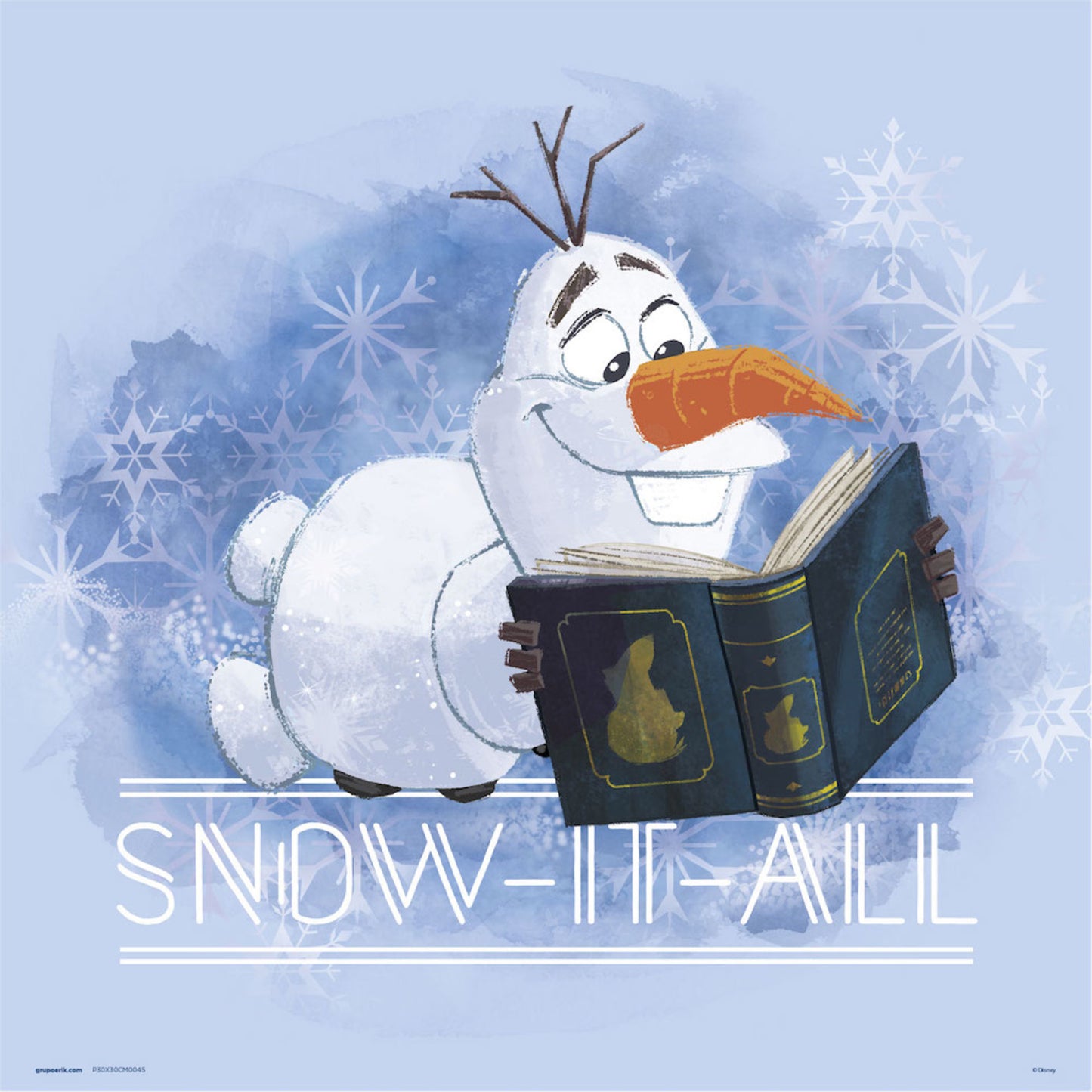 Affiche Art Frozen - In My Natural Element 30x30cm