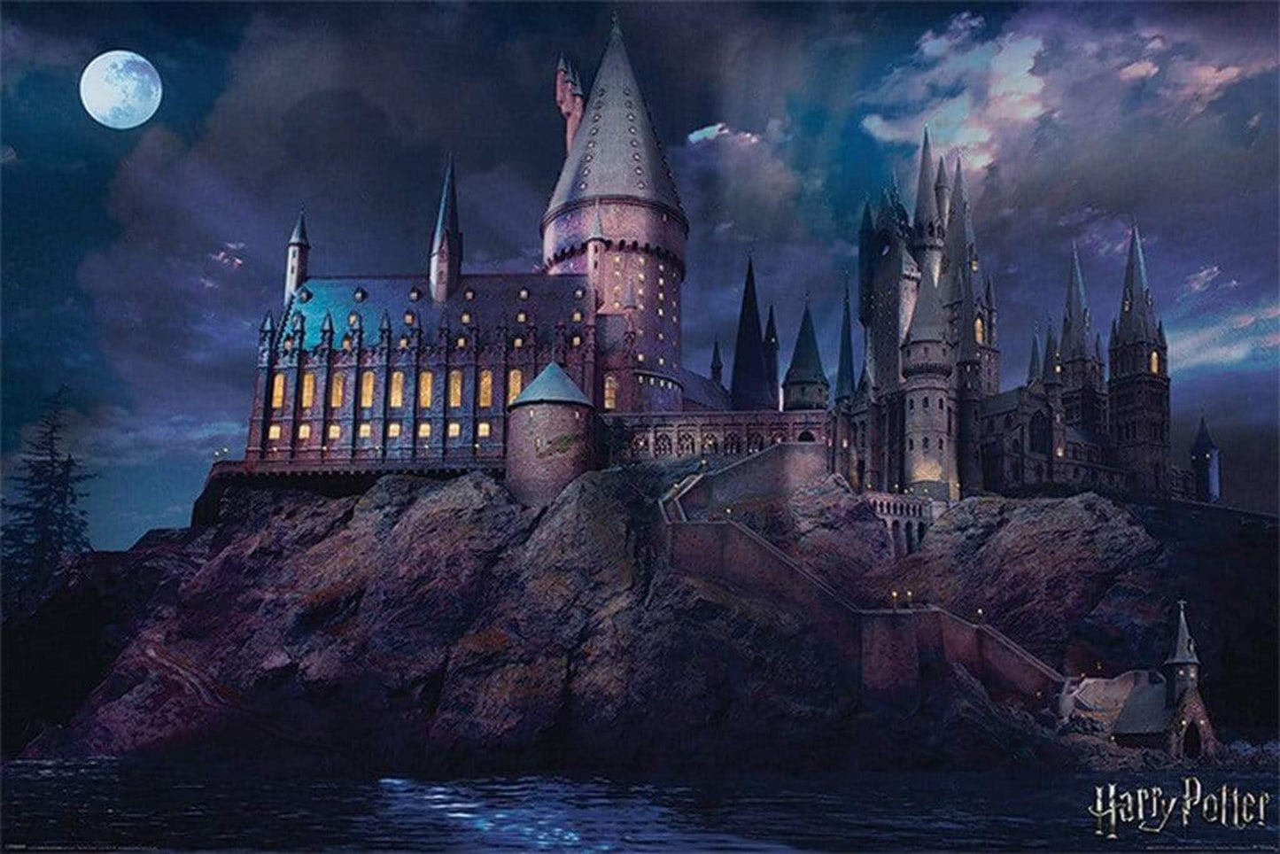 Poster Harry Potter - Hogwarts 91,5x61cm