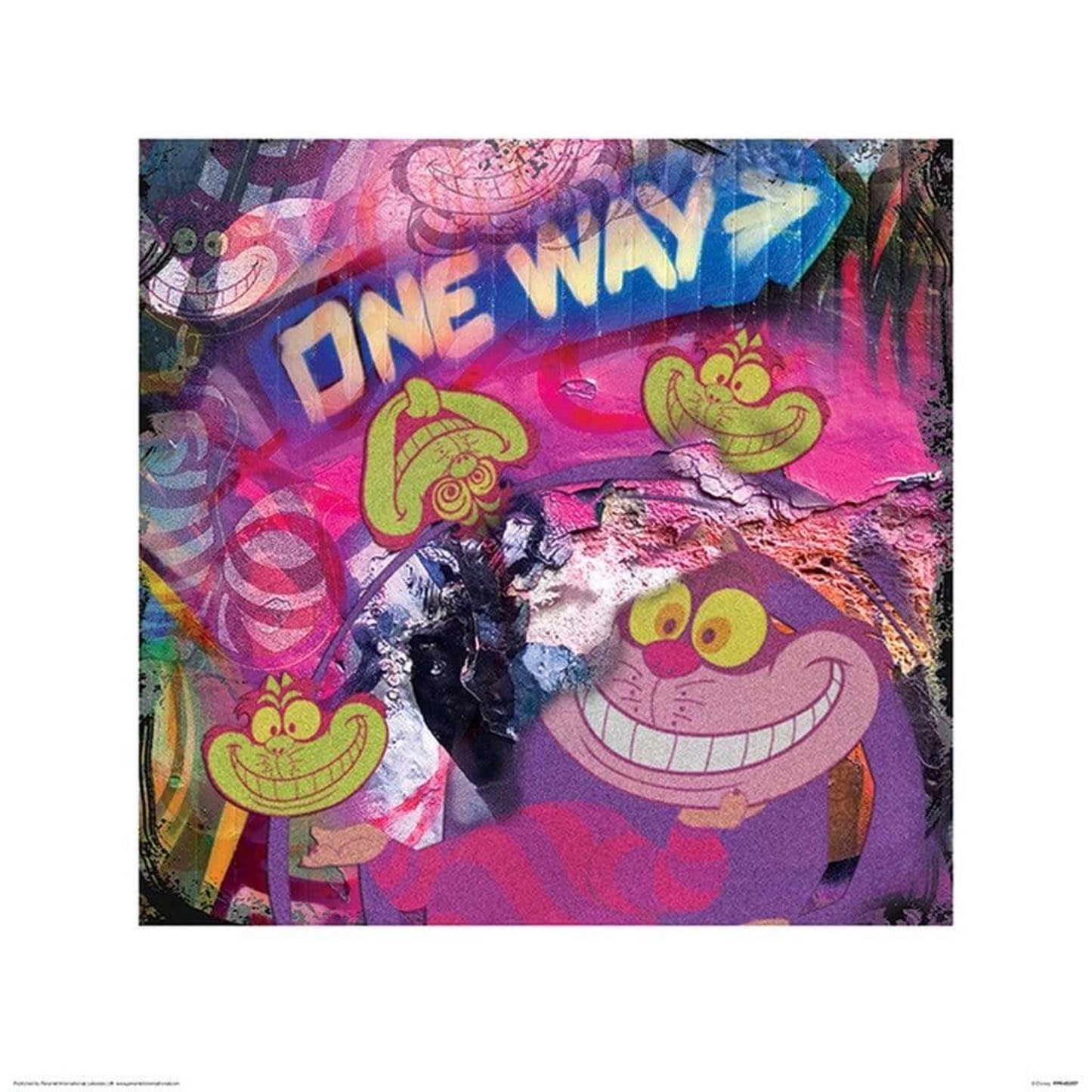Affiche Art The Cheshire Cat - Graffiti 40x40cm