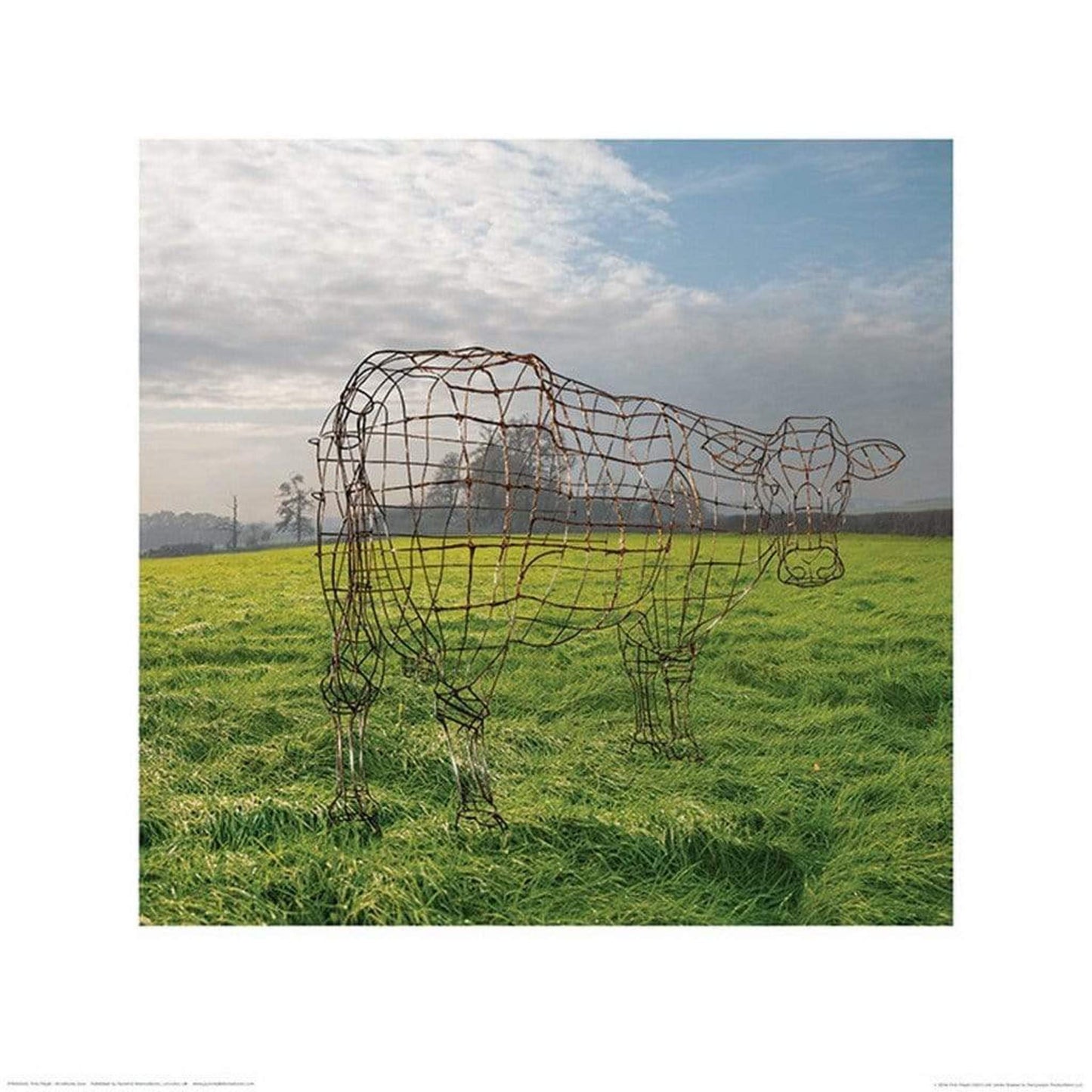 Affiche Art Pink Floyd - Wireframe Cow 40x40cm