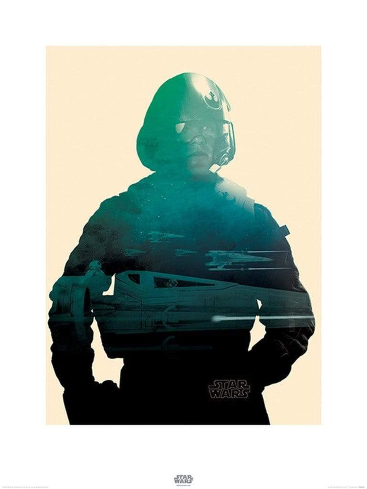 Affiche Art Star Wars - Episode VII Poe Tri 60x80cm