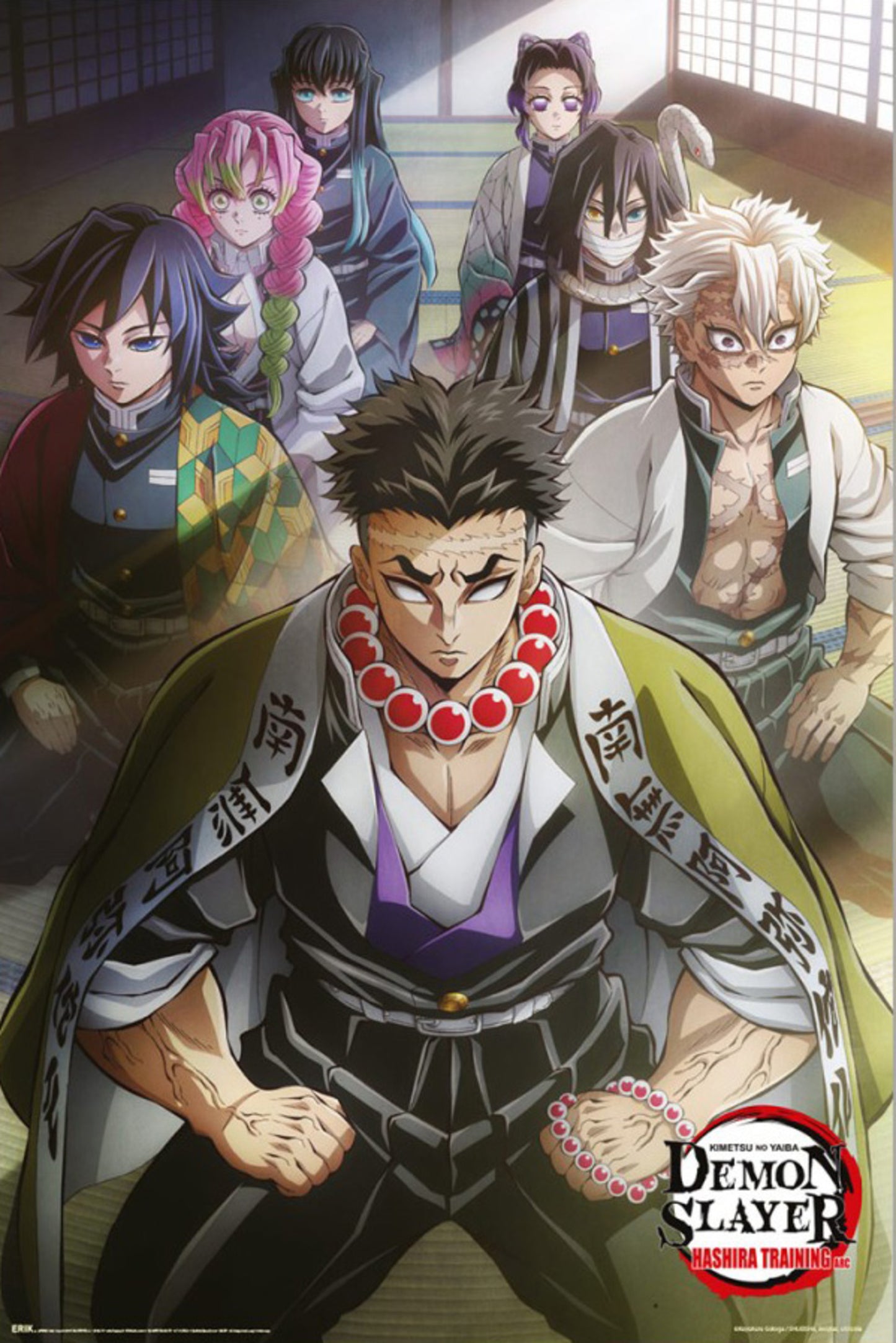 Poster Demon Slayer - Hashira Training 1 61x91,5cm
