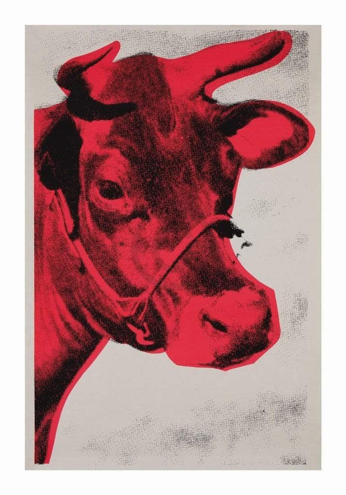 Affiche Art Andy Warhol - Cow 1976 70x100cm