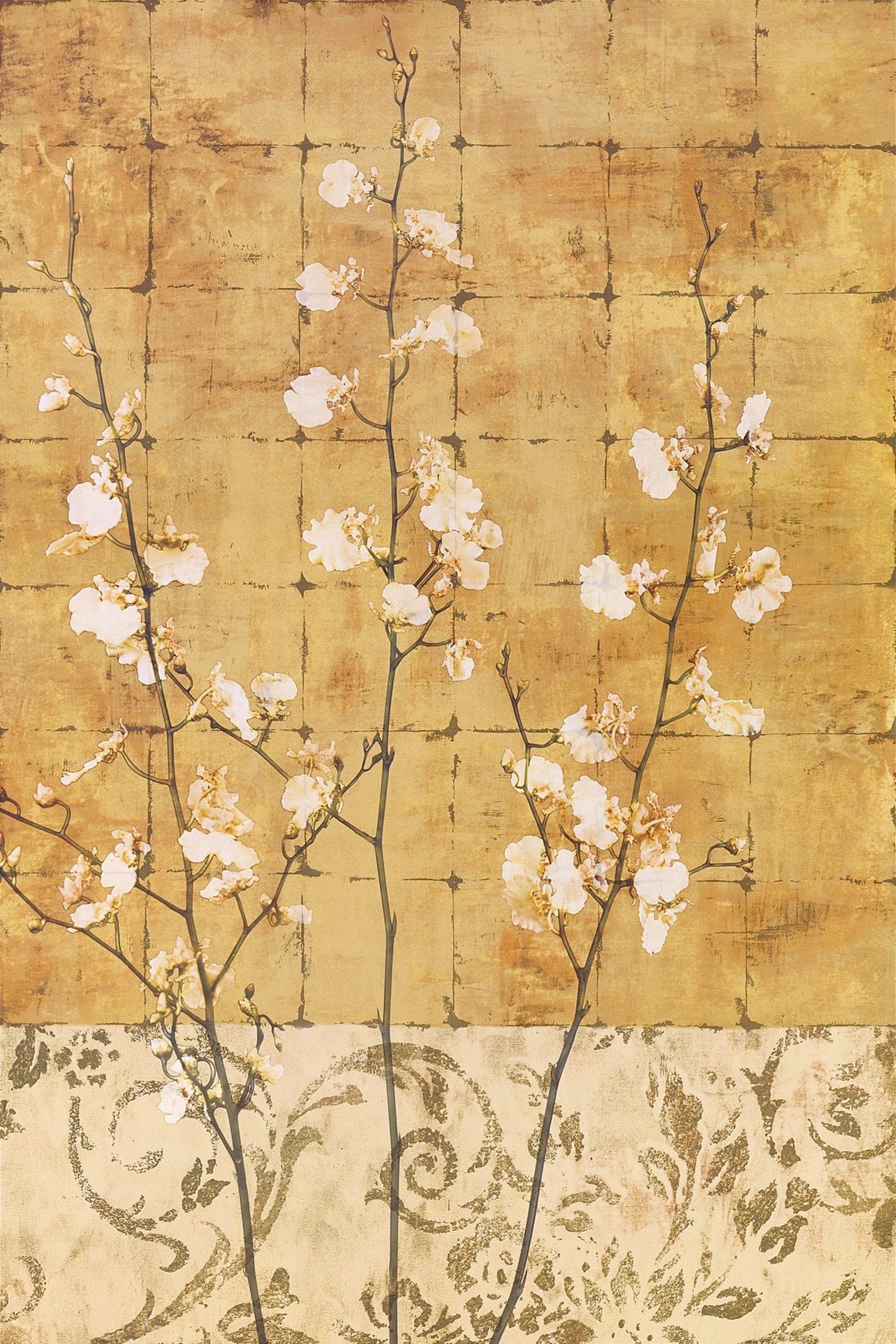 Affiche Art Chris Donovan - Blossoms in Gold II 62x93cm
