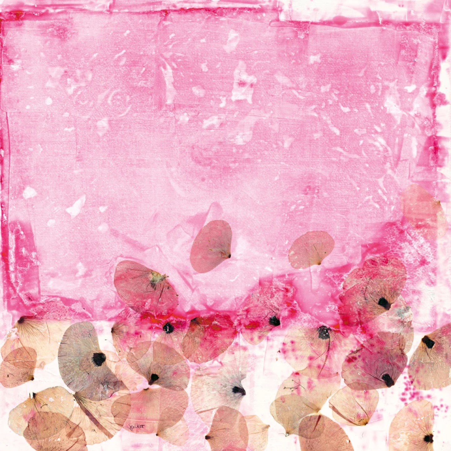 Affiche Art Katja Spilker - Blütezeit 40x40cm