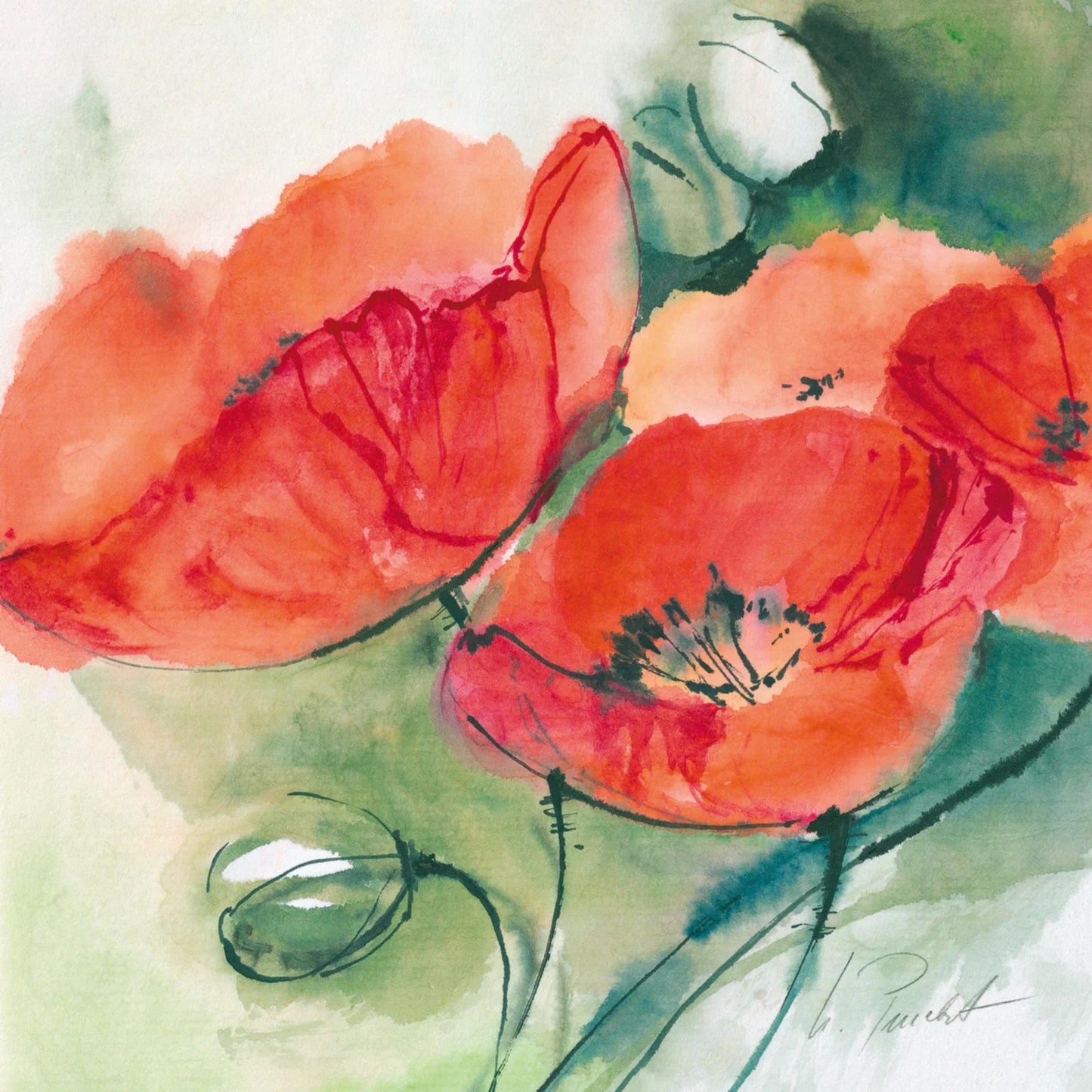 Affiche Art Marta Peuckert - Mohnblüten 21x21cm