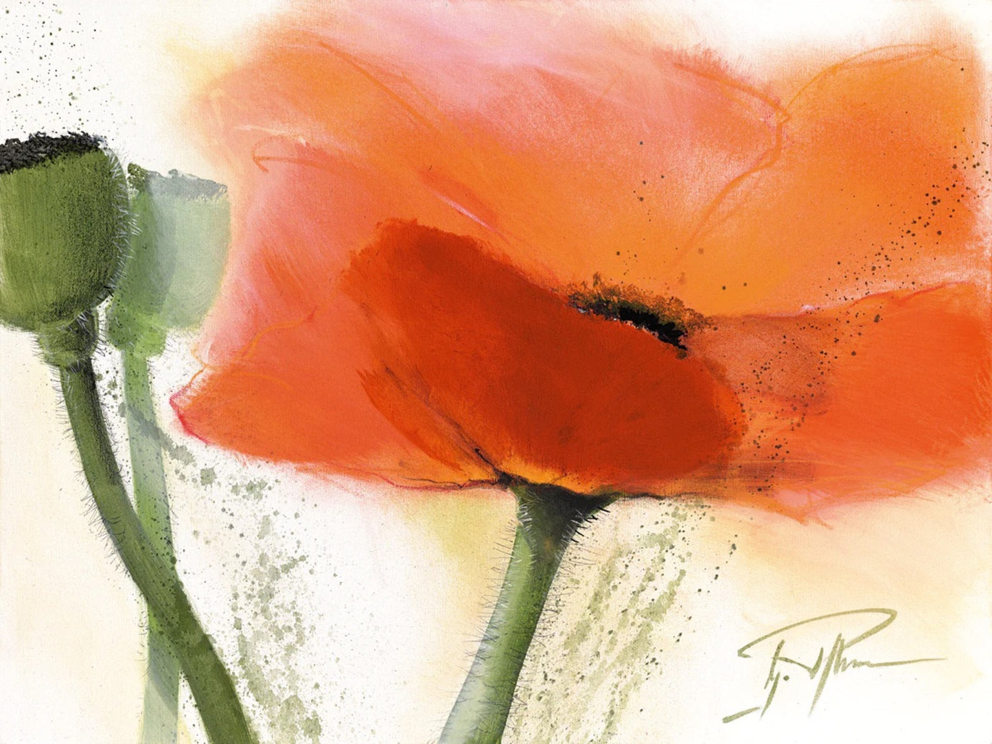 Affiche Art Gerd Pflumm - Faszination Mohn III 80x60cm