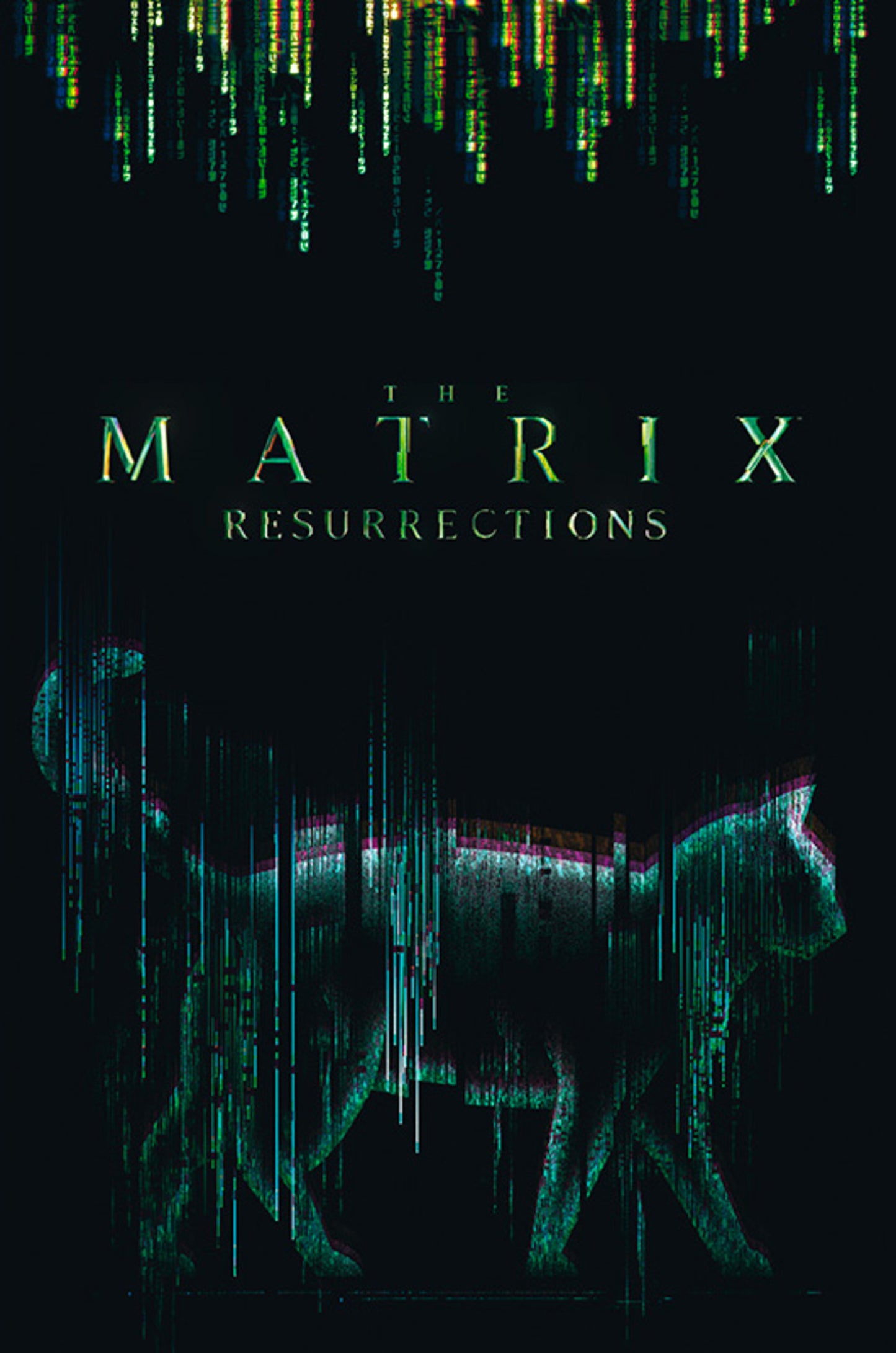 Poster The Matrix - Cat 61x91,5cm