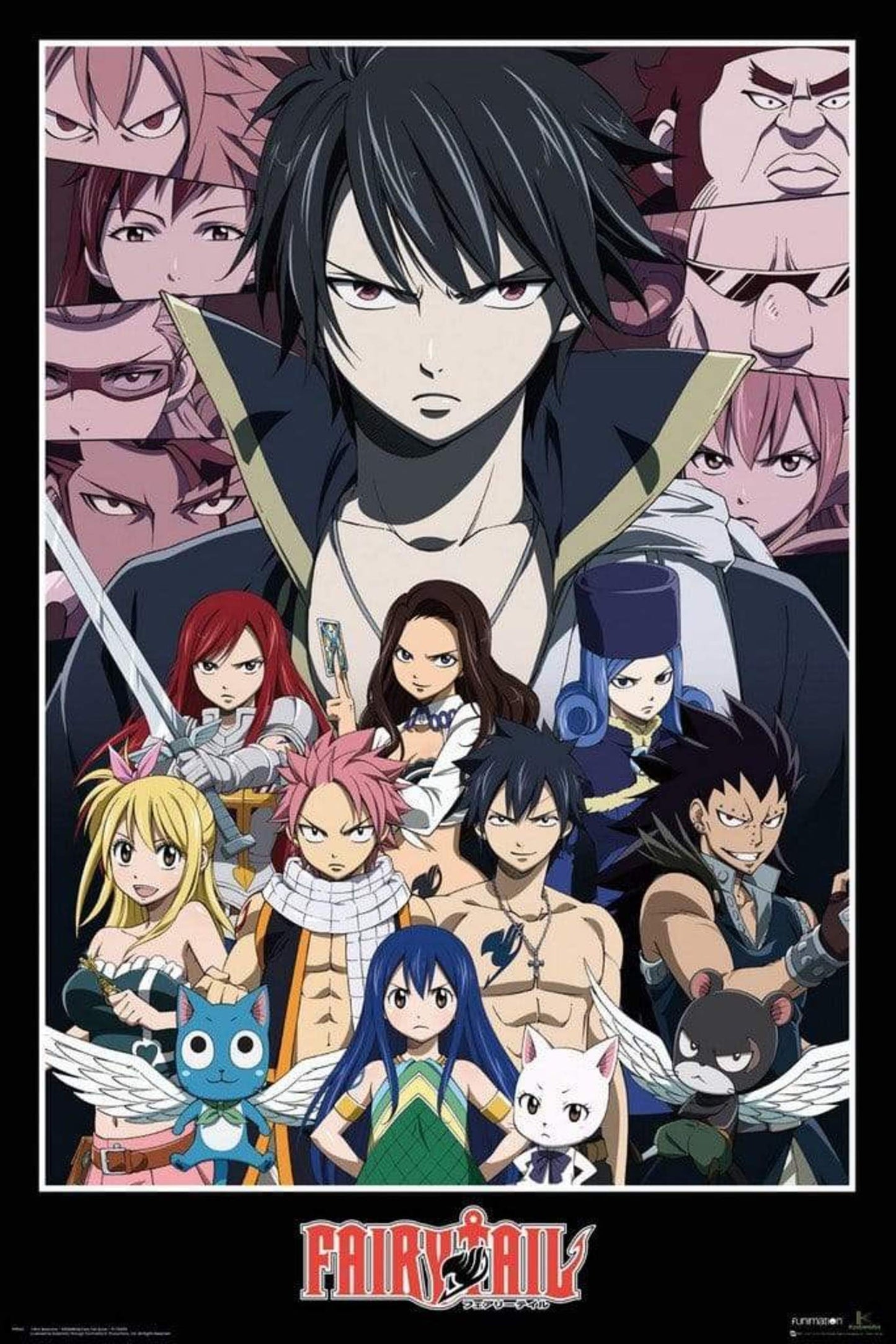 Poster Fairy Tail - Group 61x91,5 cm
