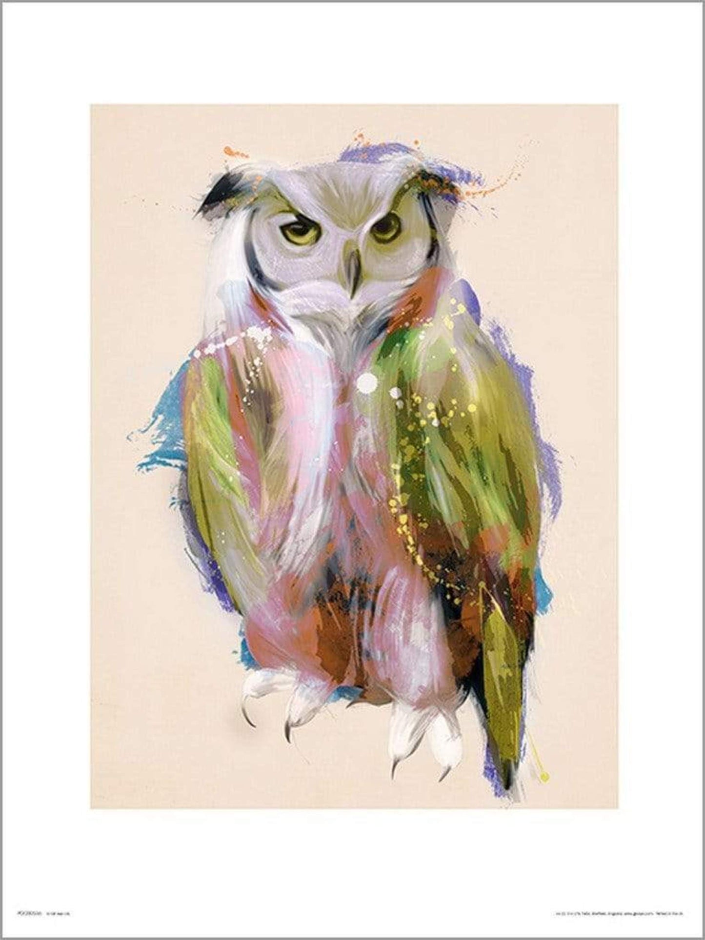 Affiche Art Owl Paint 50x70cm