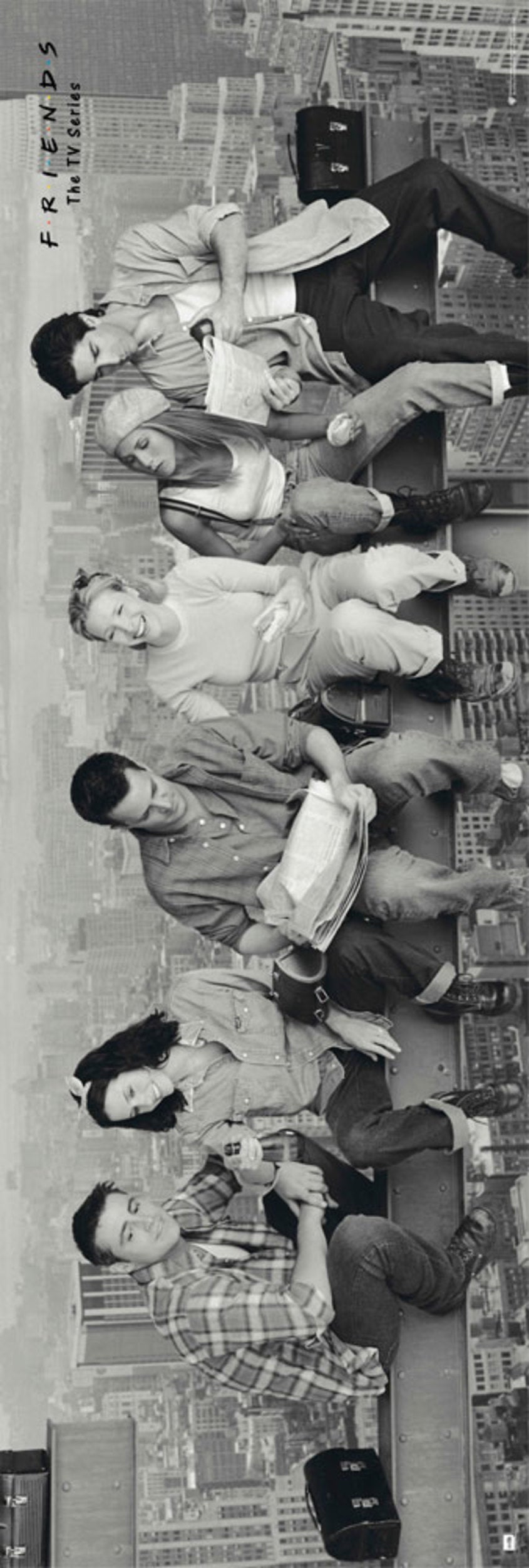 Poster Friends - Skyscraper 53x158cm