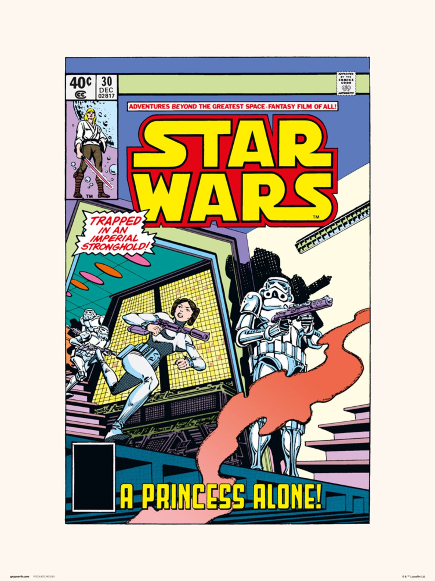 Affiche Art Star Wars 30 A Princess Alone 30x40cm