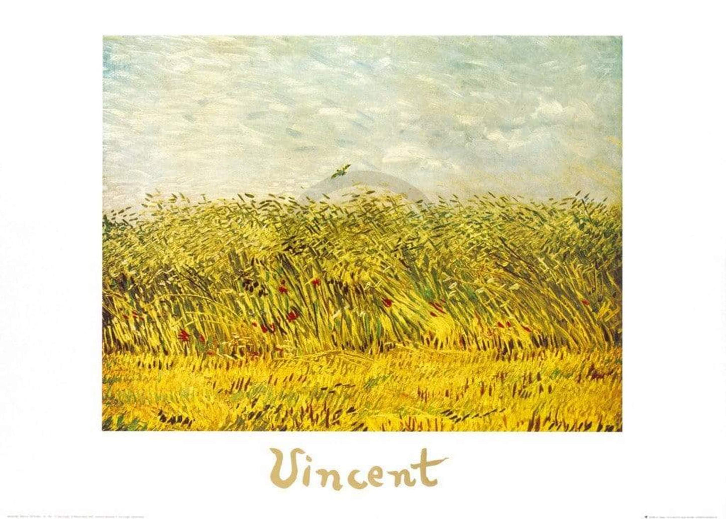 Affiche Art Vincent Van Gogh - The Wheat Field 70x50cm