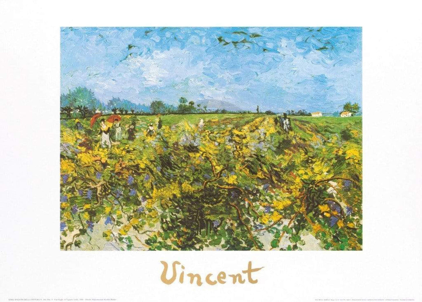 Affiche Art Vincent Van Gogh - The Green Vineyard 70x50cm