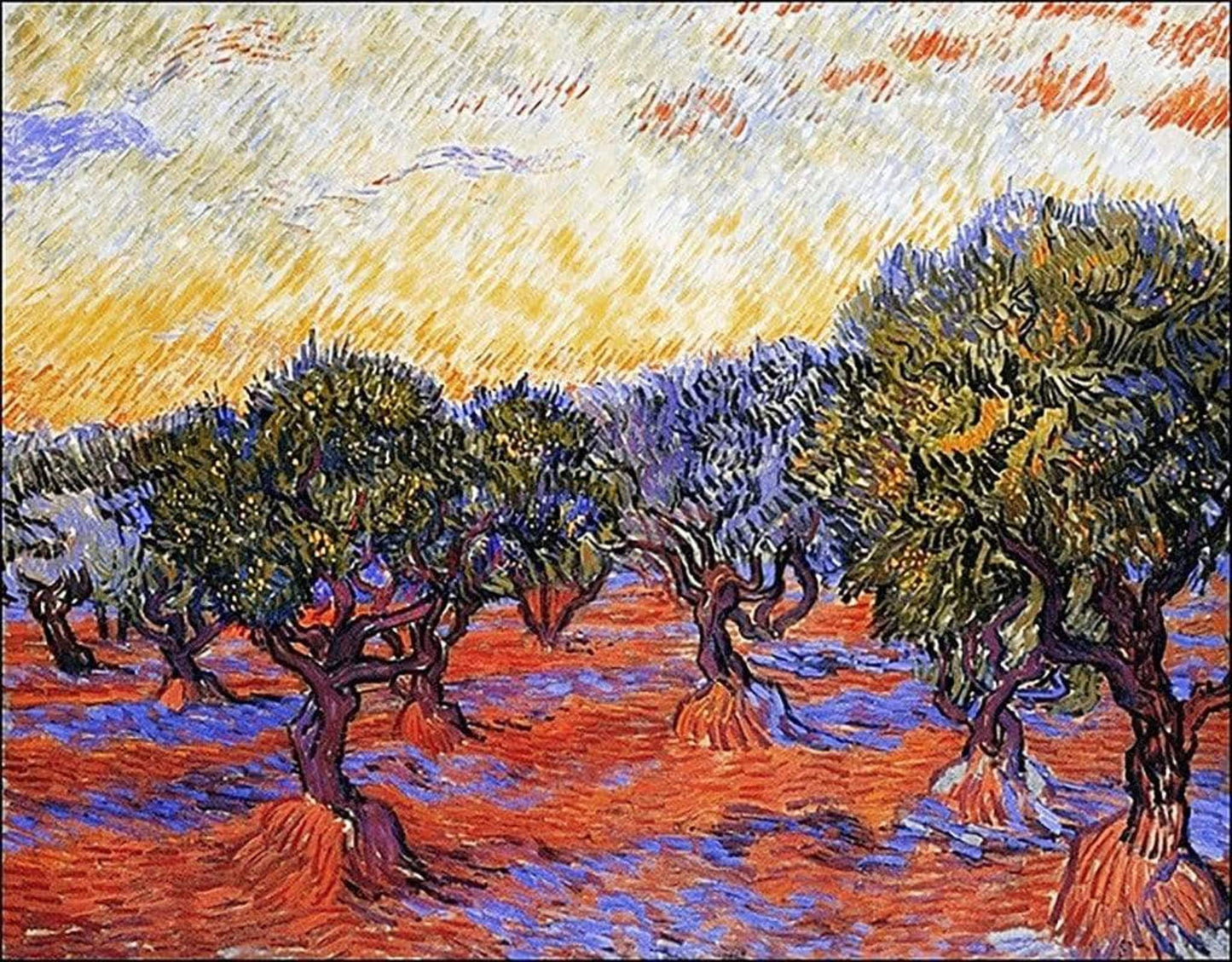 Affiche Art Vincent Van Gogh - Uliveto 30x24cm