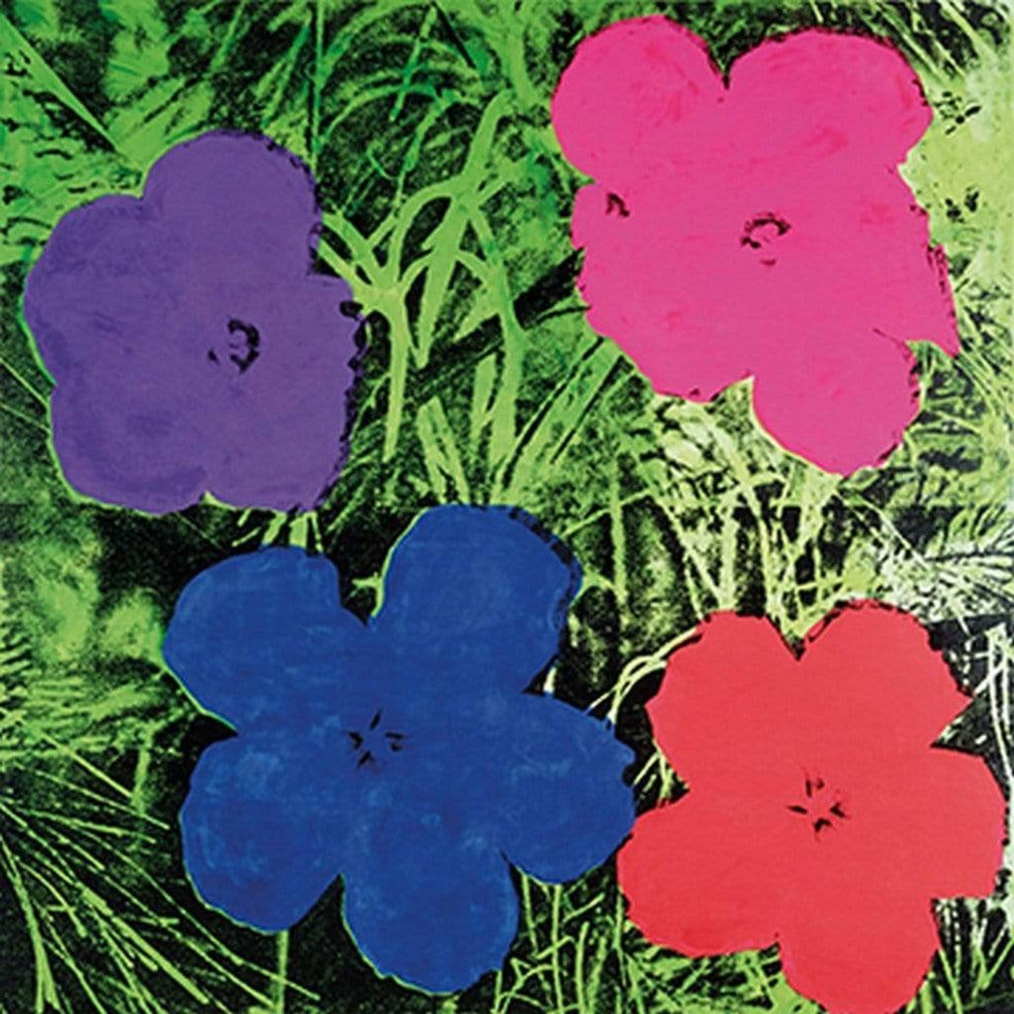 Affiche Art Andy Warhol - Flowers C. 1984 60x60cm