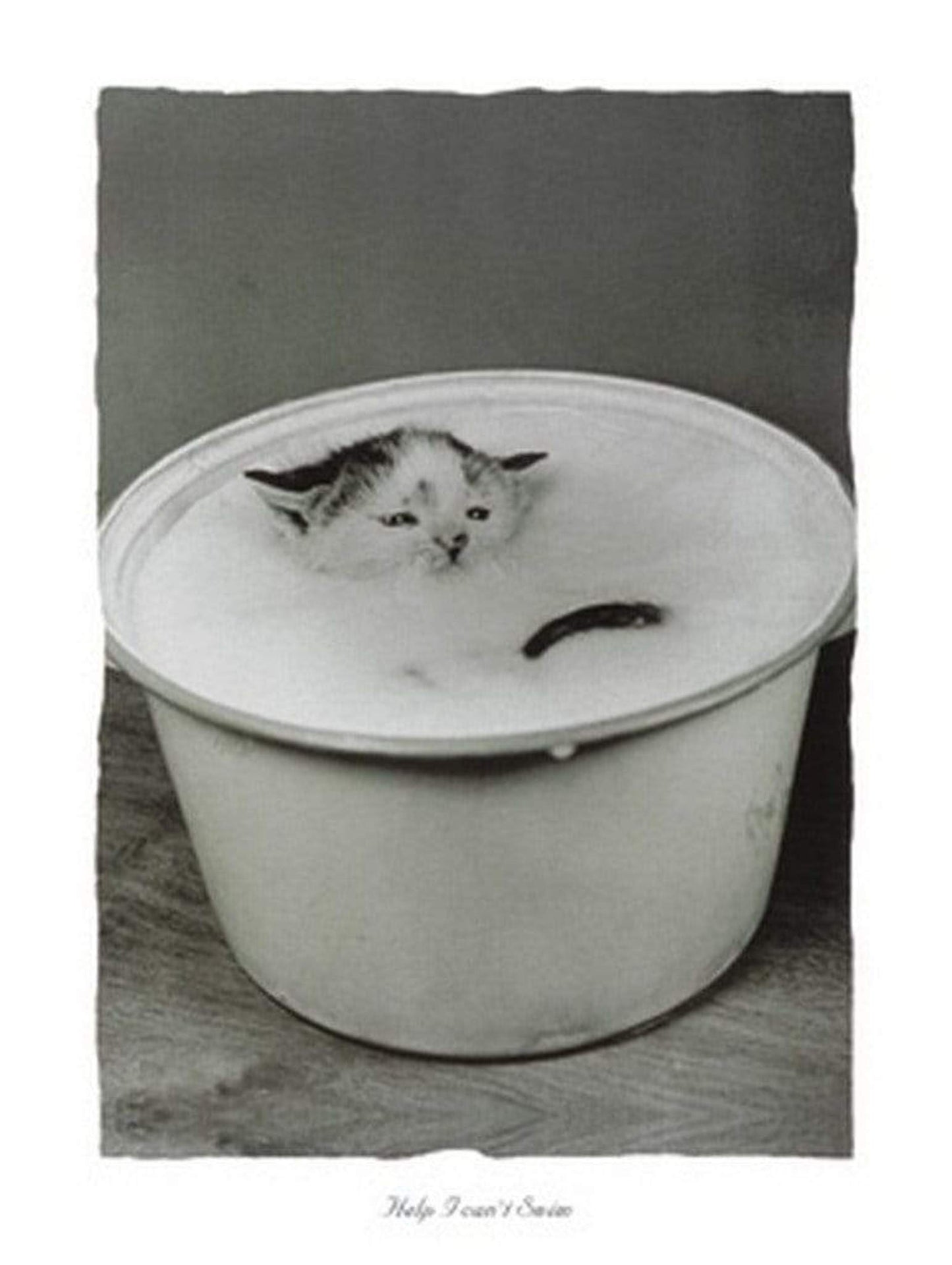 Affiche Art B. Creative - Help I can't swim 30x40cm