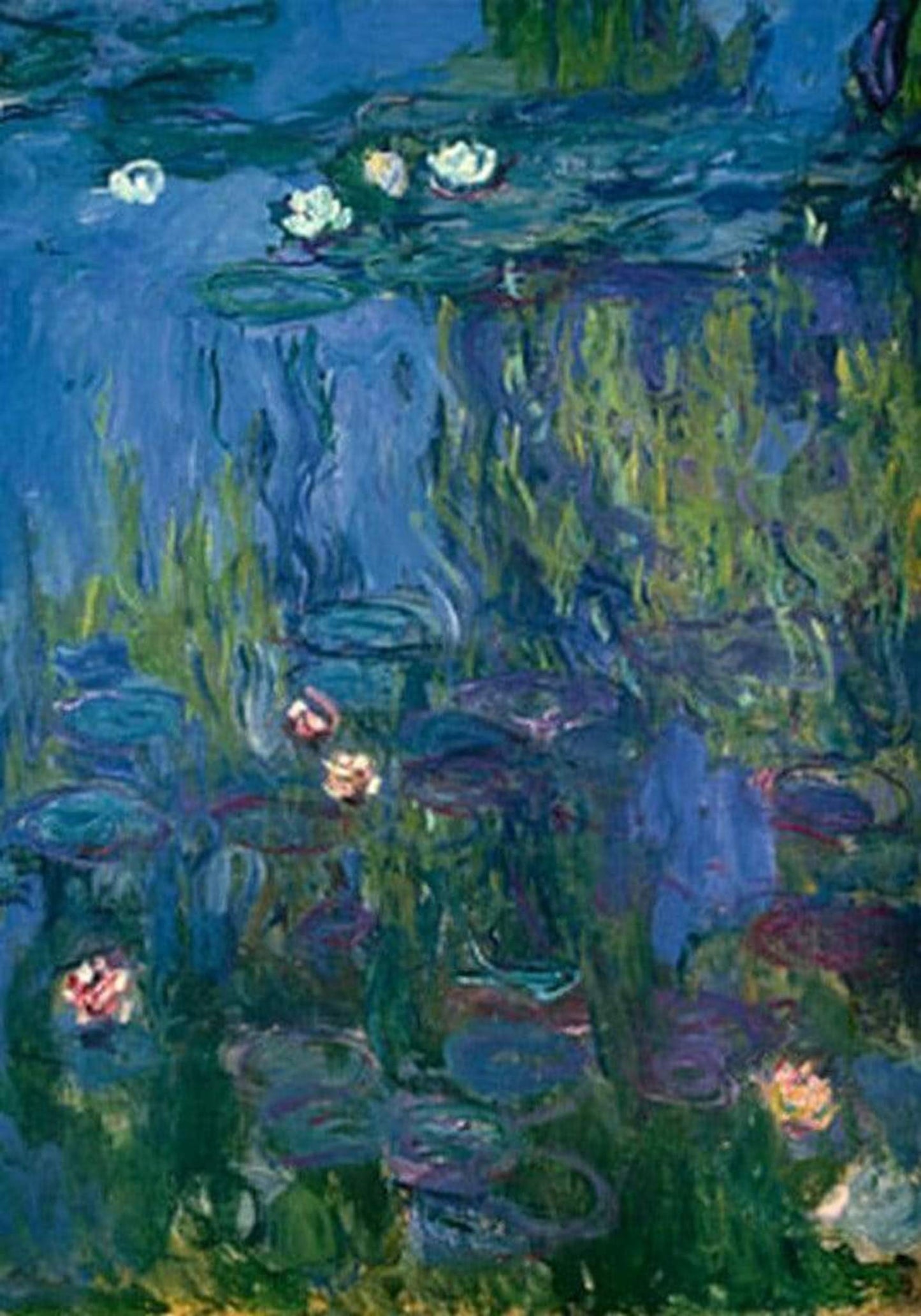 Affiche Art Claude Monet - Nympheas 70x100cm