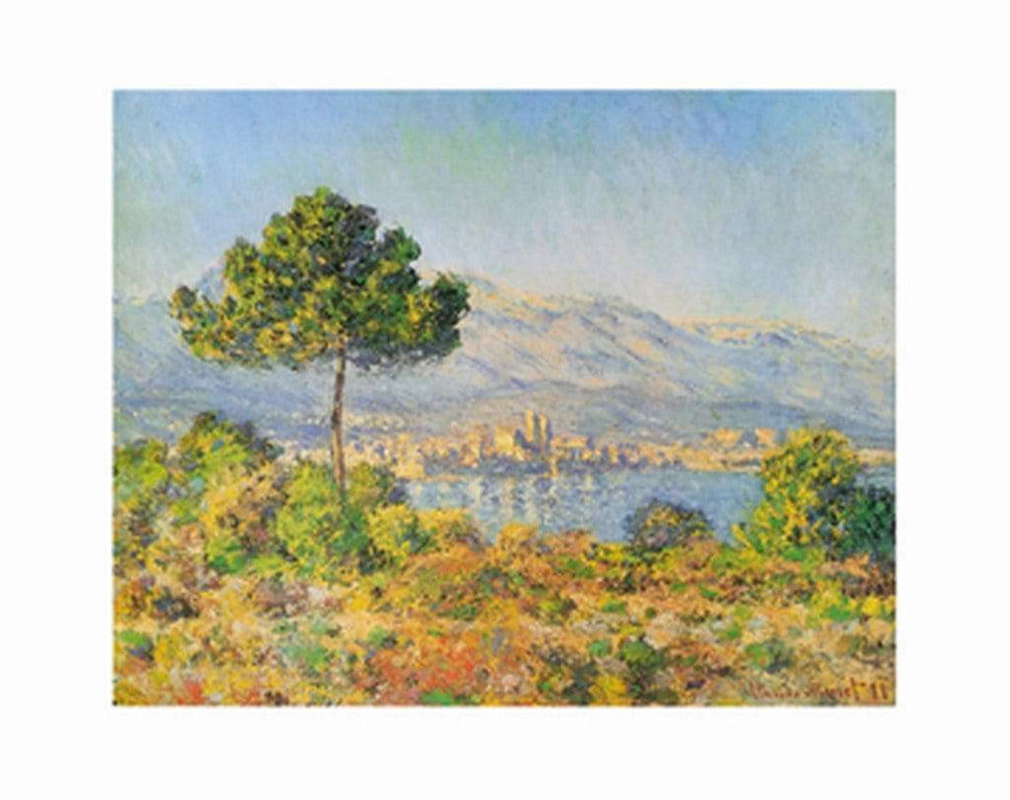 Affiche Art Claude Monet - Antibes, 1888 71x56cm