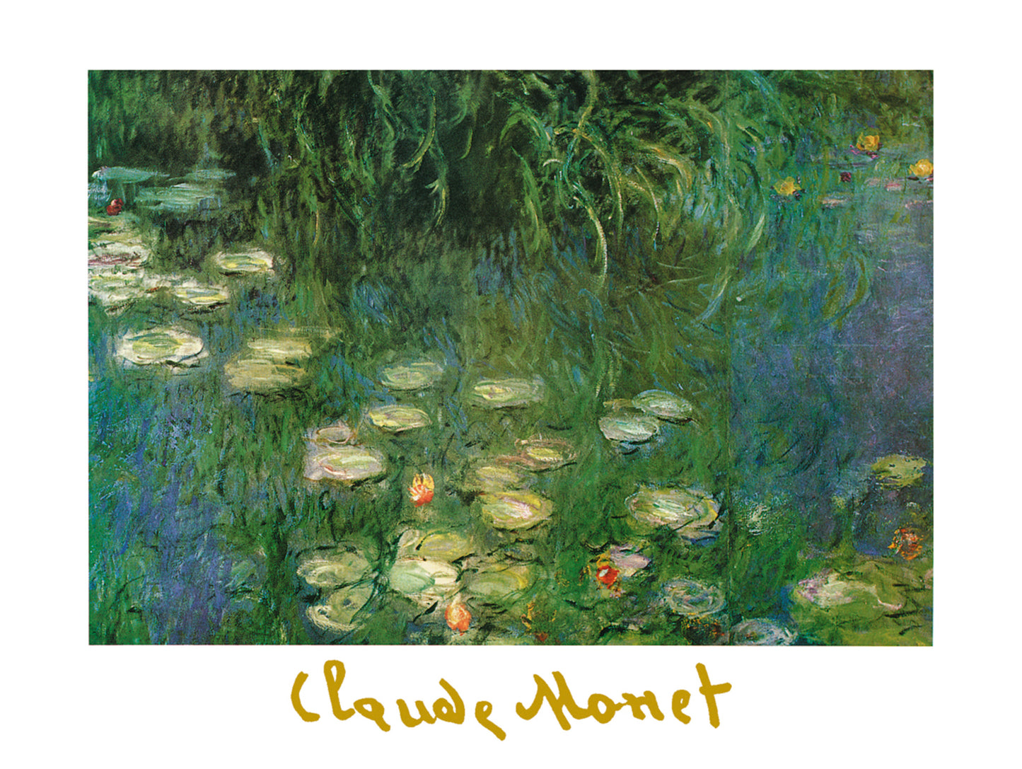 Affiche Art Claude Monet - Ninfee dell'Orangerie 80x60cm