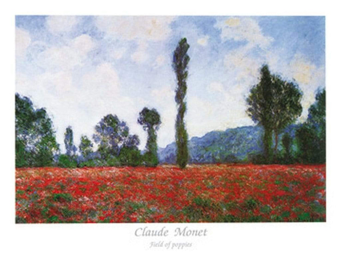 Affiche Art Claude Monet - Field of Poppies 80x60cm