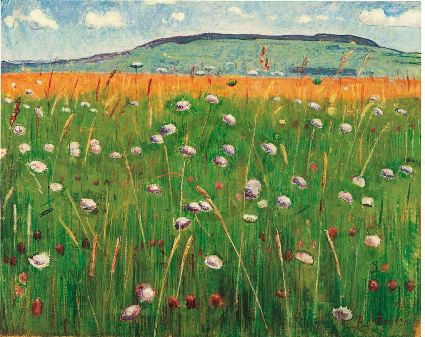 Affiche Art Ferdinand Hodler - Wiesenstück 1900/1902 60x48cm