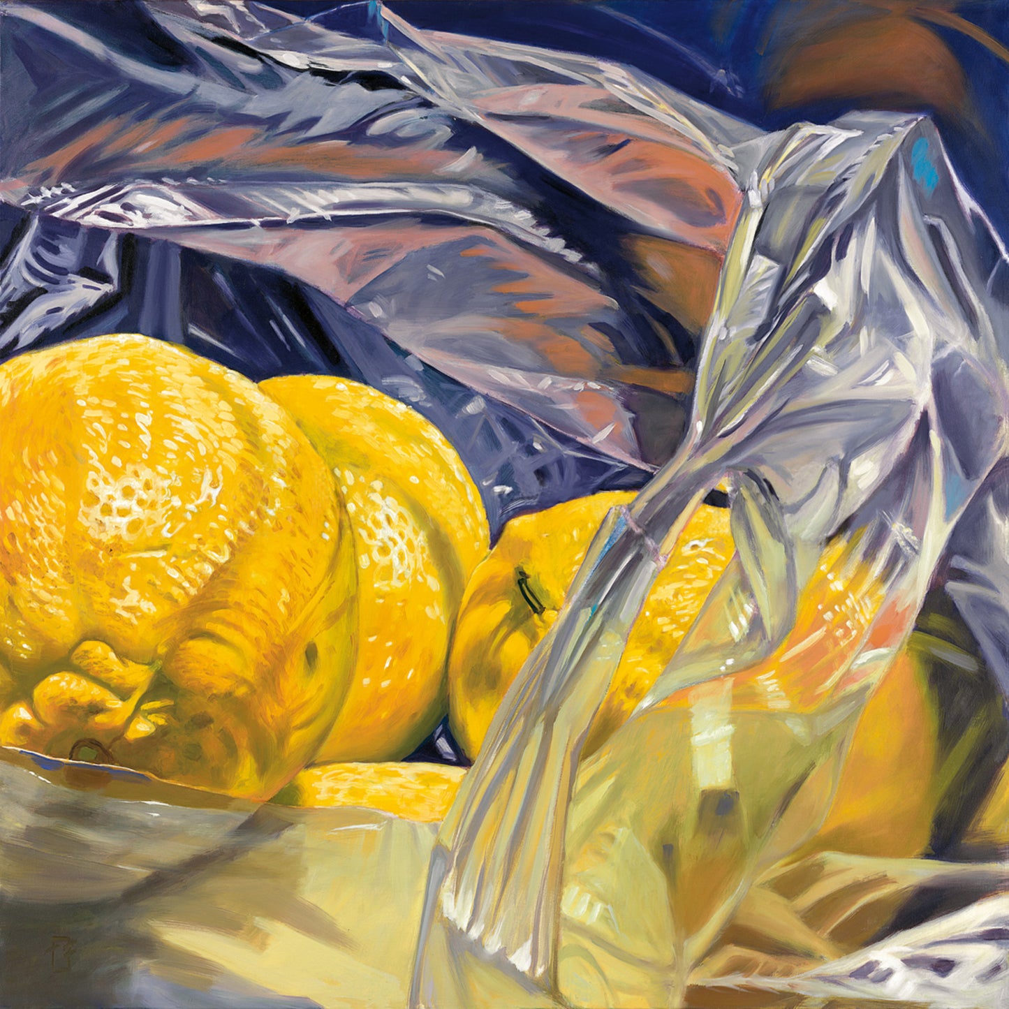 Affiche Art Thomas Freund - Lemon bag 98x98cm
