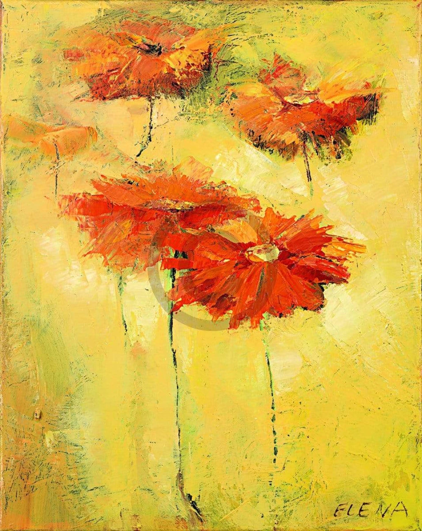 Affiche Art Elena Filatov - Feldblumen II 40x50cm