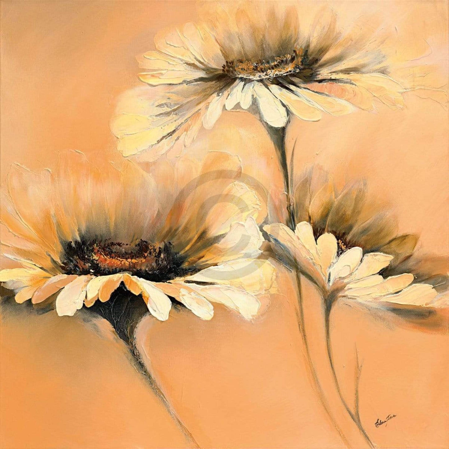Affiche Art Elena Filatov - Apricot Summer I 70x70cm