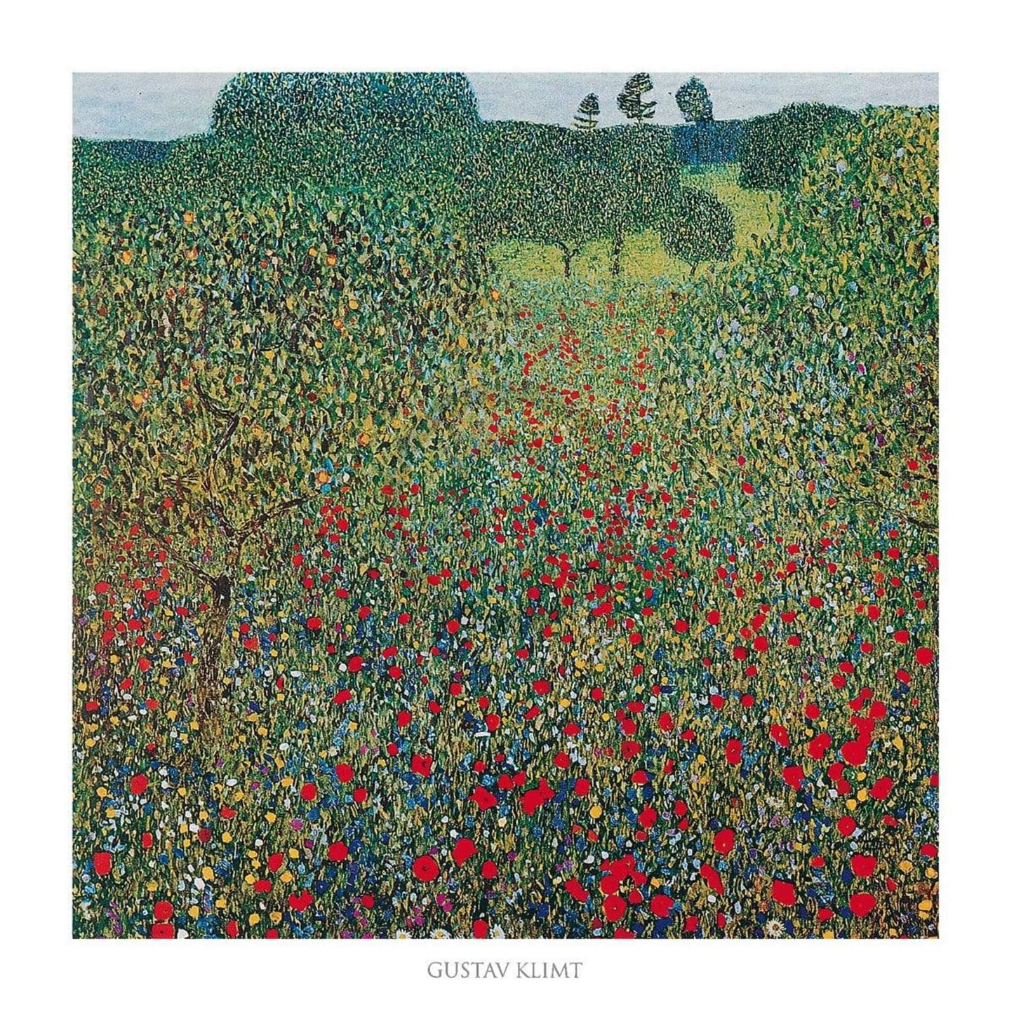 Affiche Art Gustav Klimt - Campo di papaveri 70x70cm