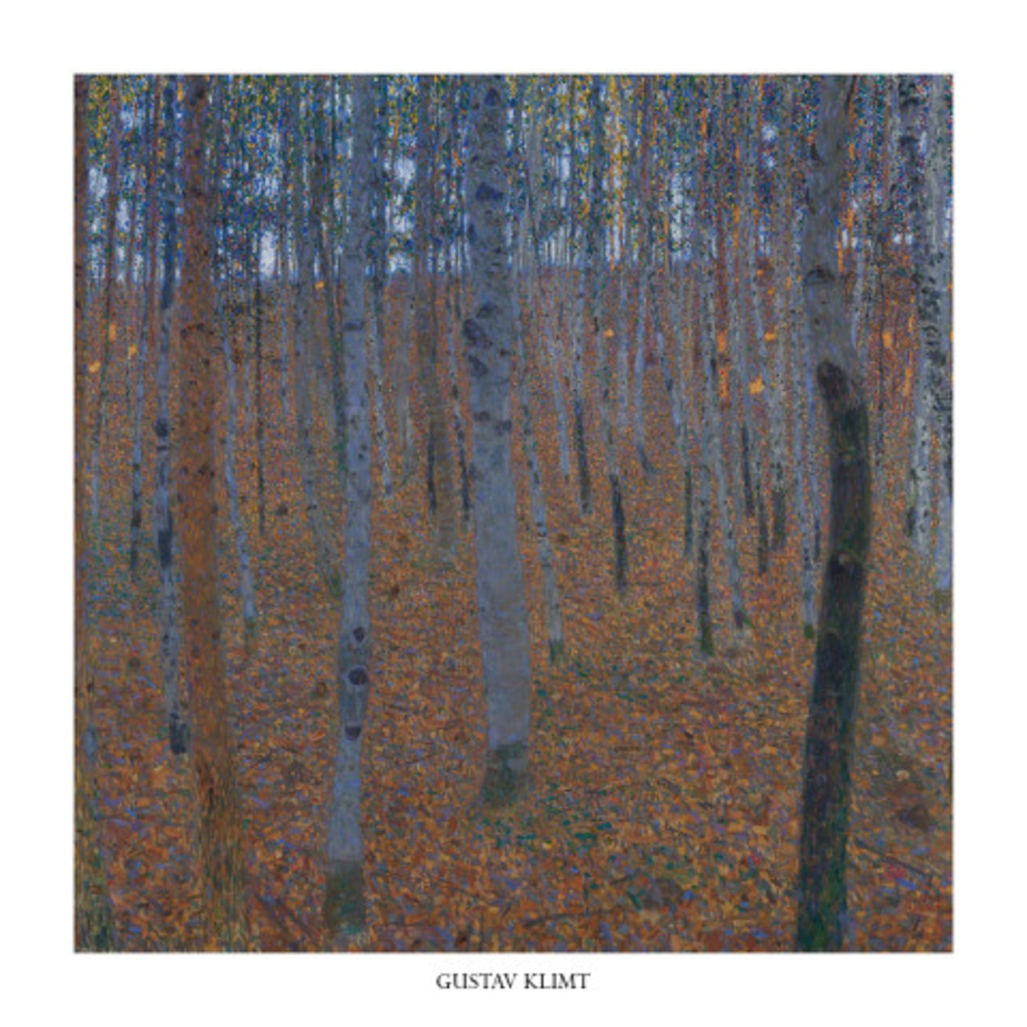 Affiche Art Gustav Klimt - Faggeto 70x70cm