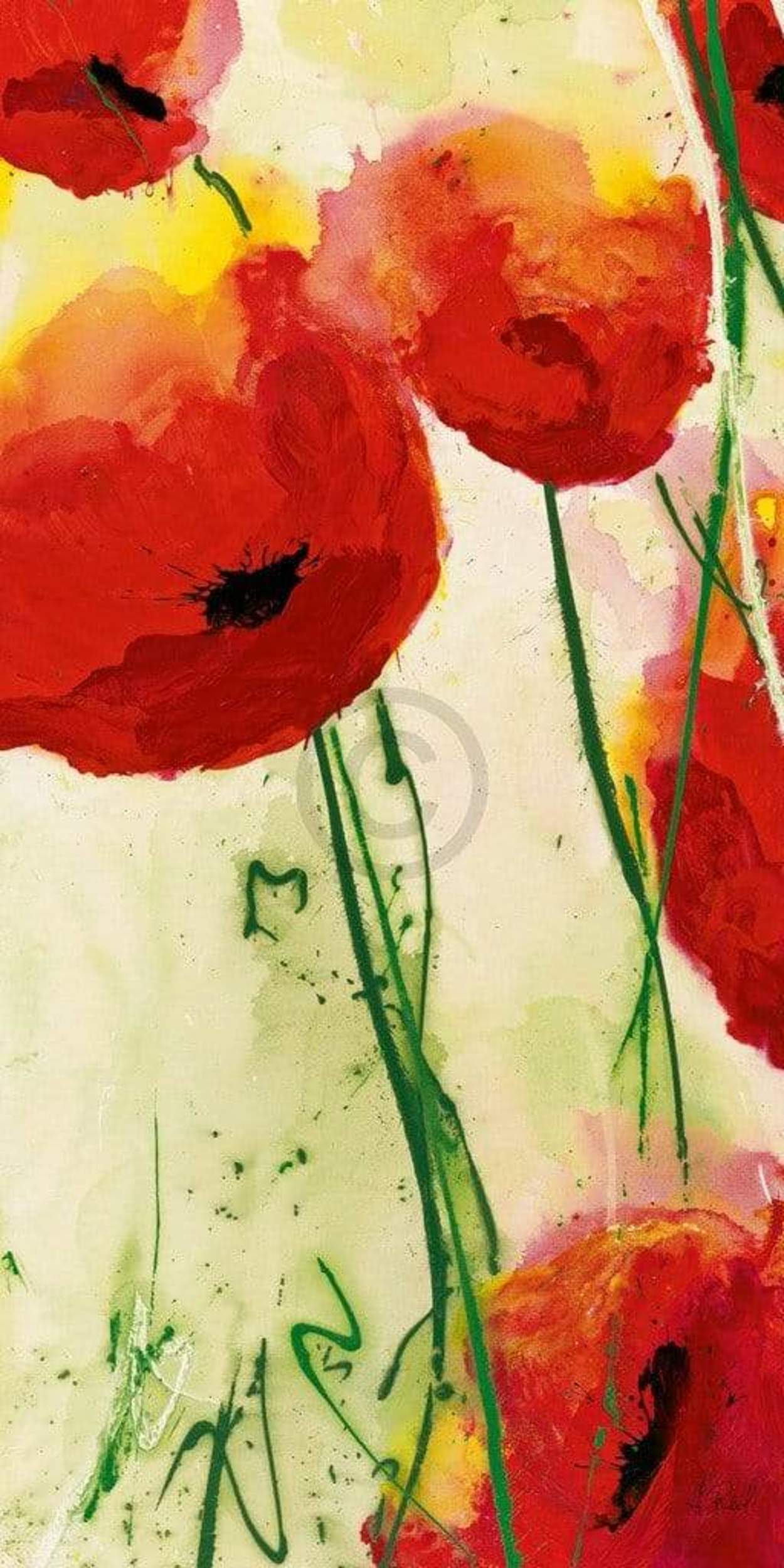 Affiche Art Heidi Reil - Klatschmohn 50x100cm