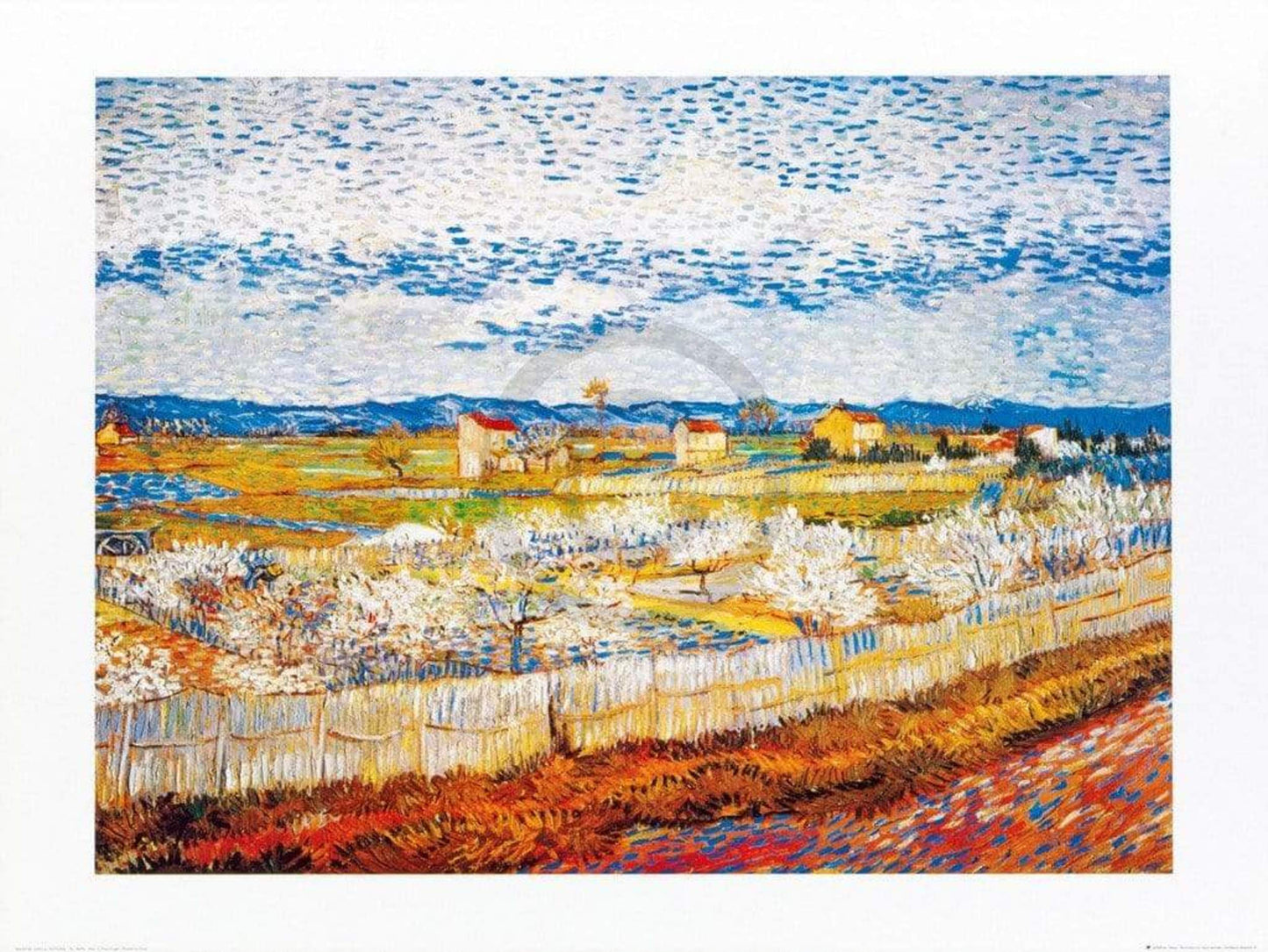 Affiche Art Vincent Van Gogh - Pesco in fiore 80x60cm