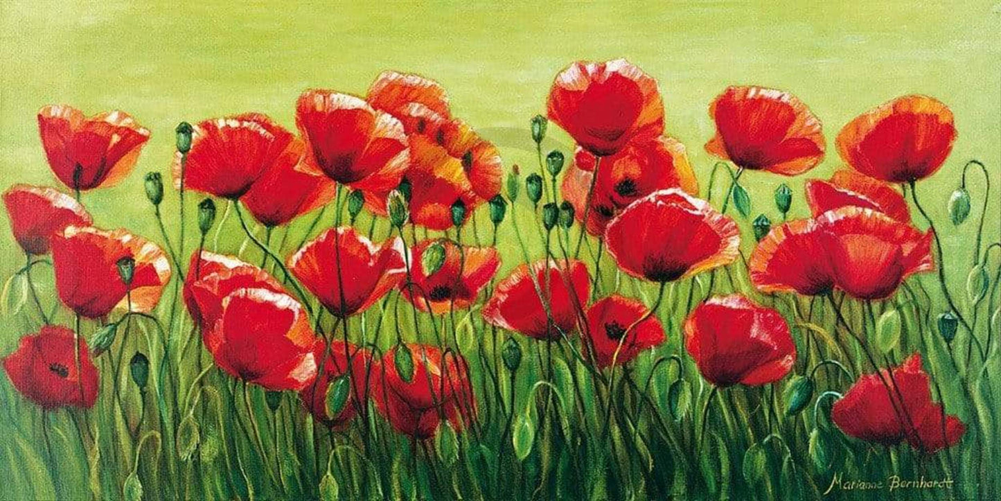 Affiche Art Marianne Bernhardt - Klatschmohnwiese 100x50cm