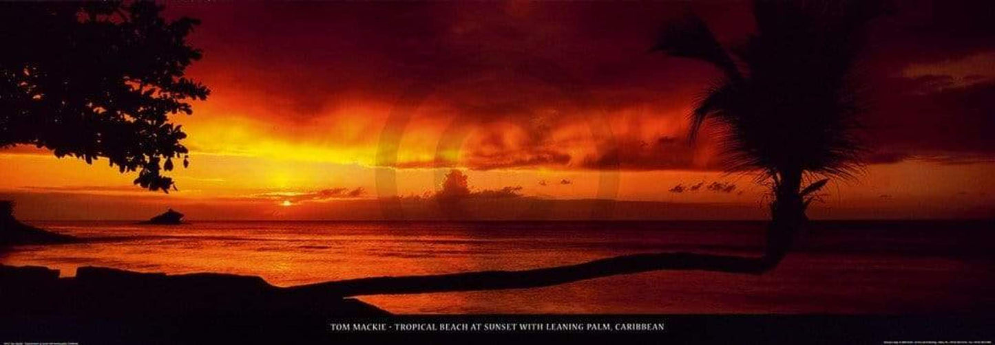 Affiche Art Tom Mackie - Tropical Beach at Sunset 95x33cm