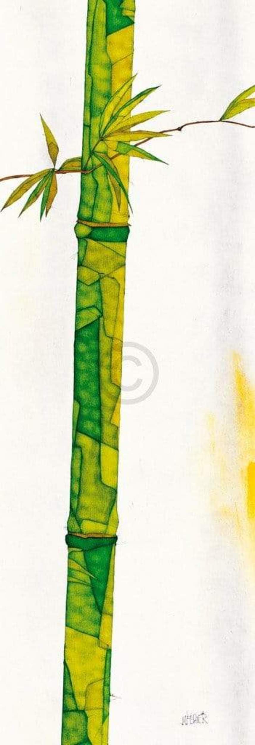 Affiche Art Michael Ferner - Bambus Duo II 34x99cm