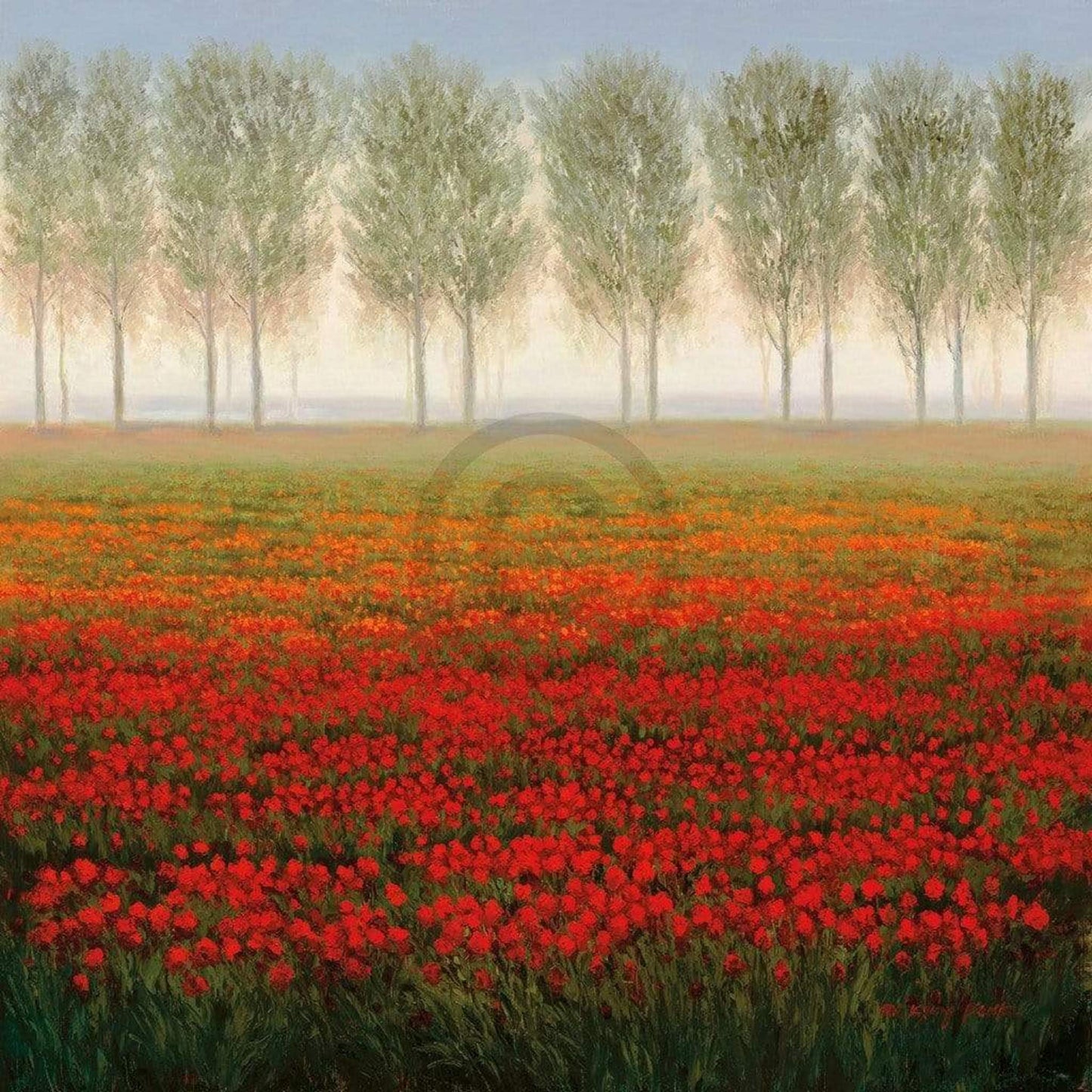 Affiche Art Park - Morning Mist 68x68cm