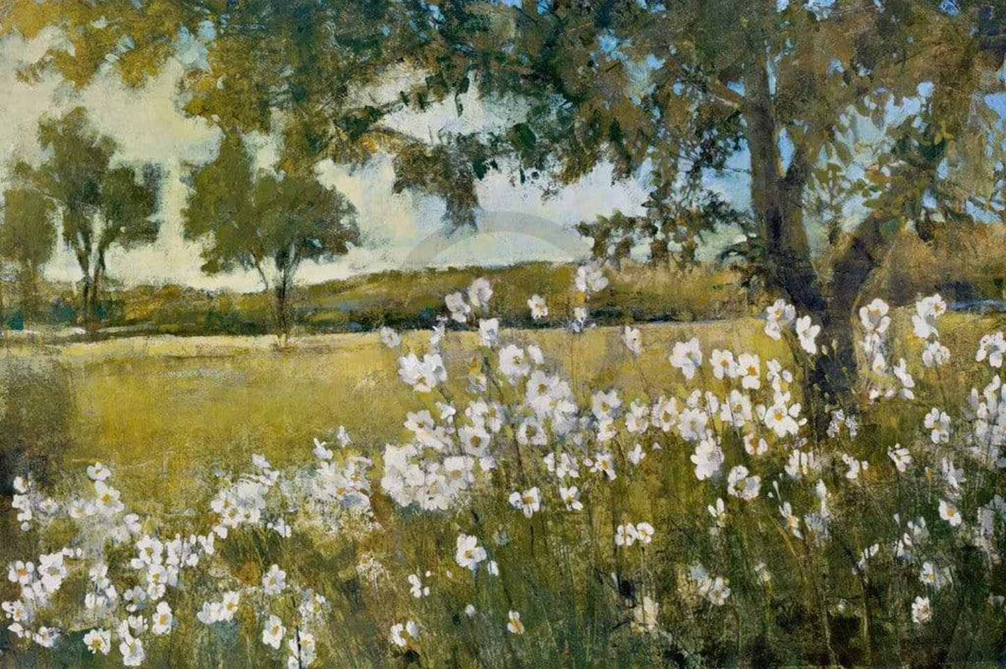 Affiche Art Patrick - Summer Bloom 91x61cm