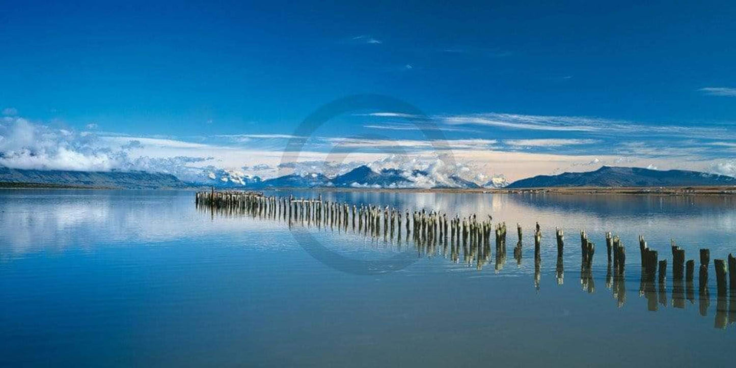 Affiche Art Popp-Hackner - Kormoräne 100x50cm