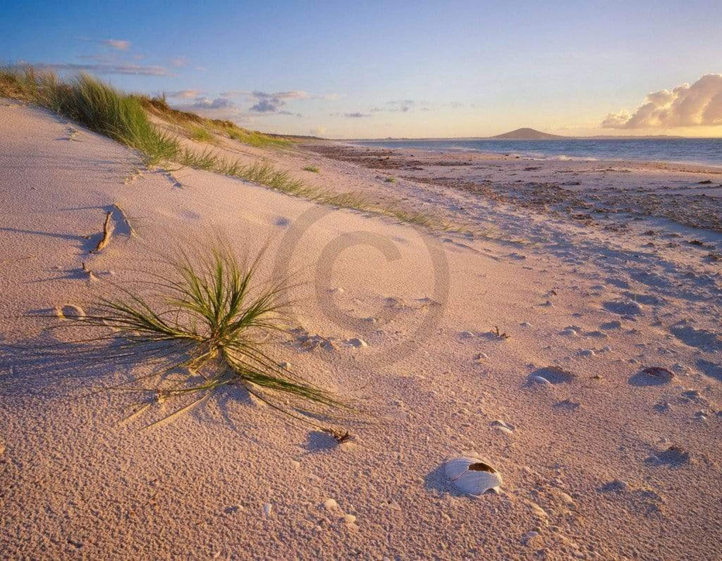 Affiche Art Popp-Hackner - Northland Karikari Bay 90x70cm