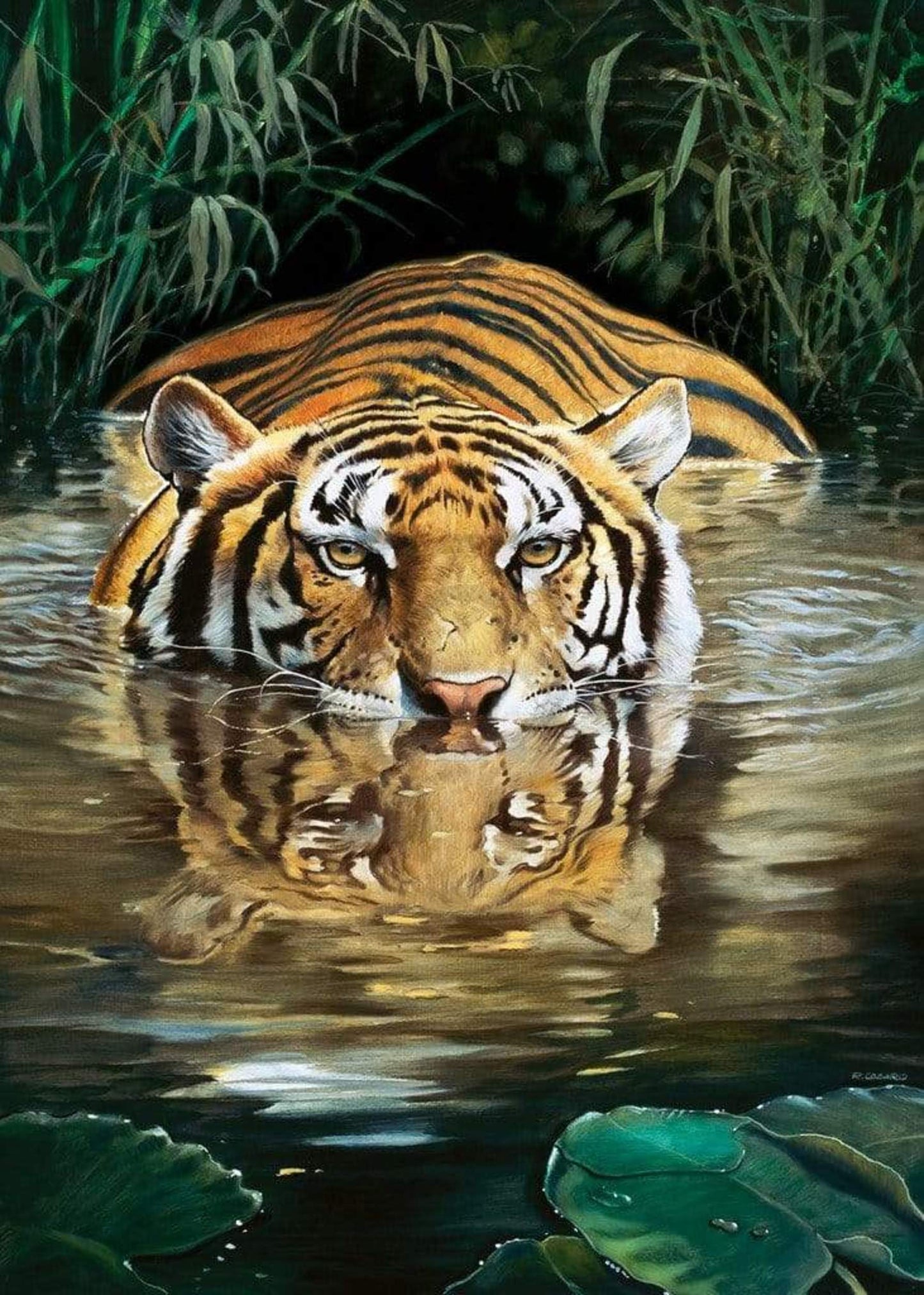 Affiche Art Renato Casaro - Bamboo 50x70cm