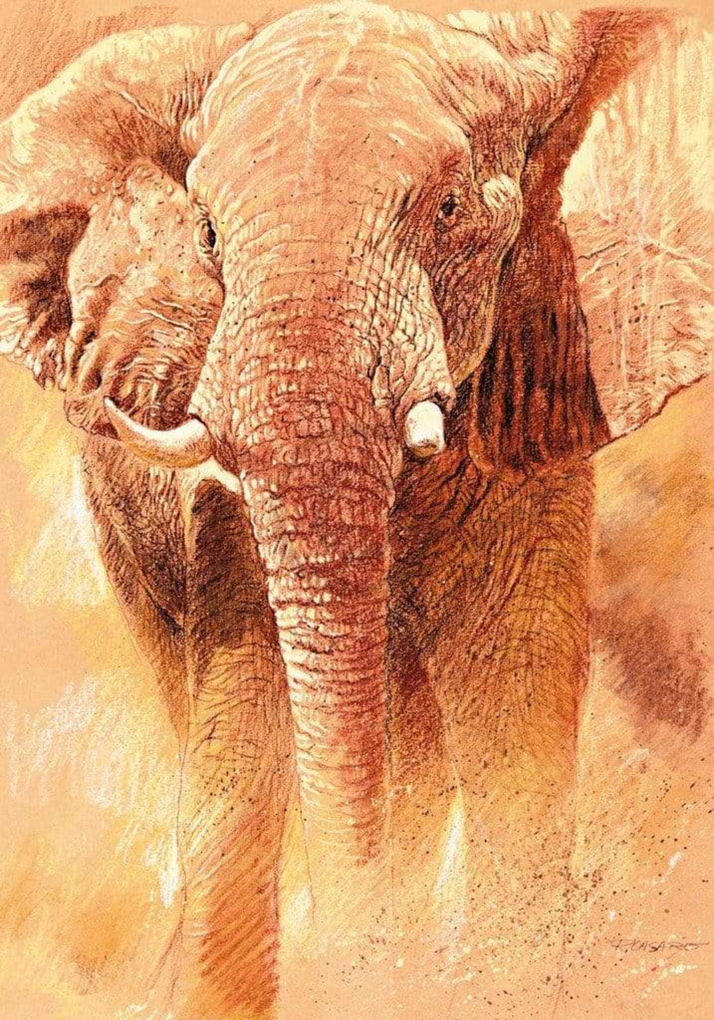 Affiche Art Renato Casaro - Elefant Study 70x100cm