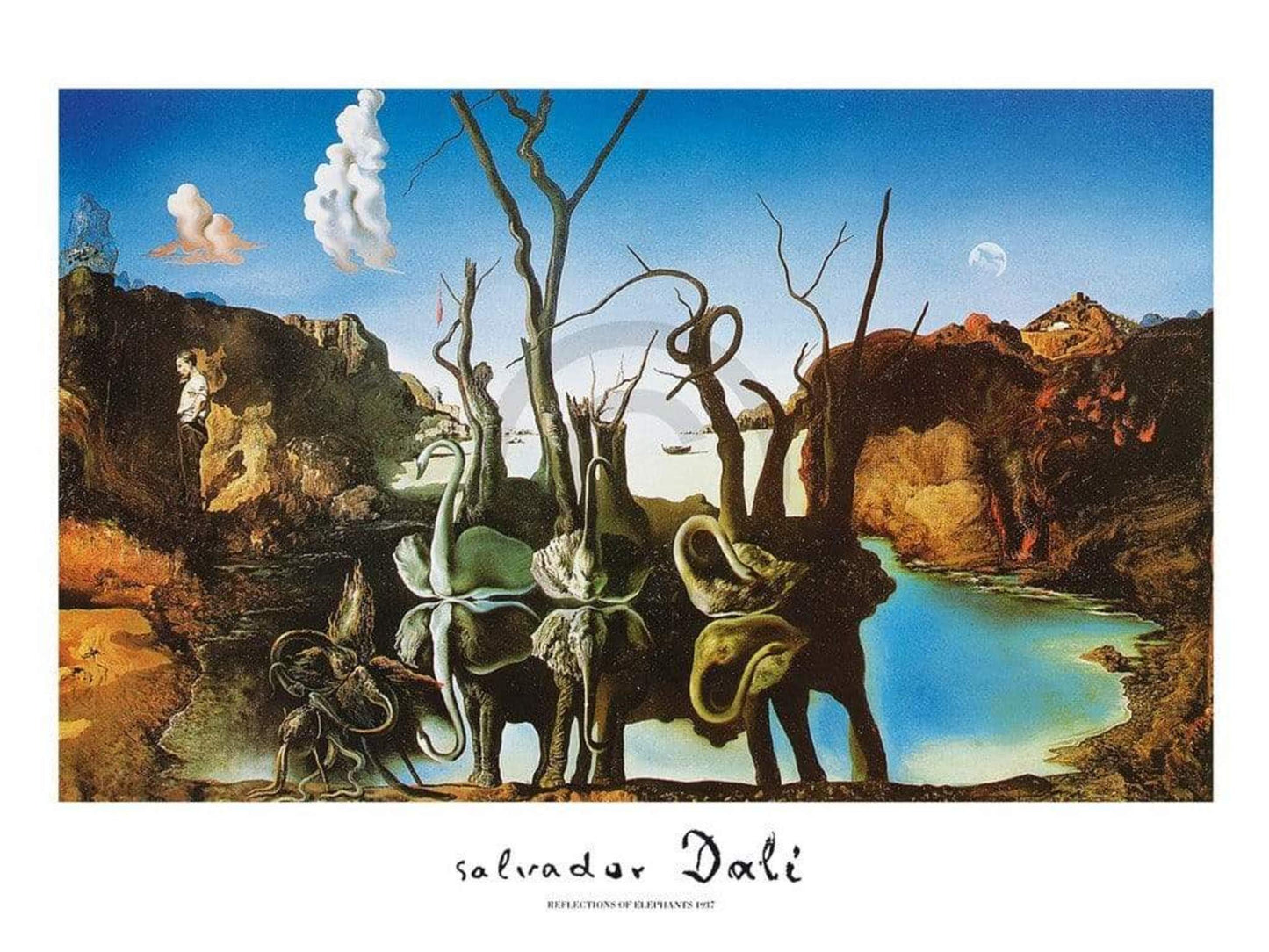 Affiche Art Salvador Dali - Reflections of Elephants 80x60cm