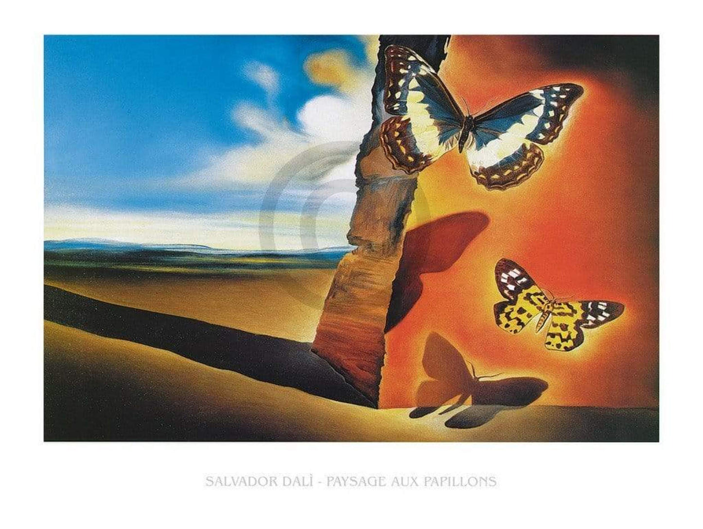 Affiche Art Salvador Dali - Paysage aux Papillons 80x60cm