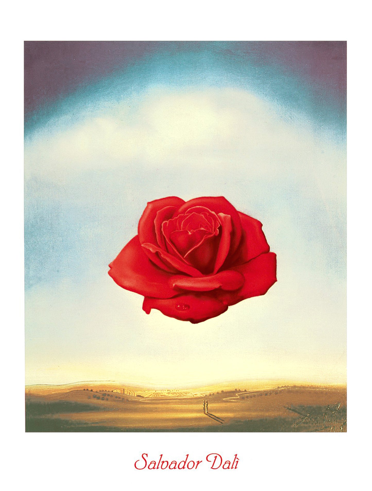 Affiche Art Salvador Dali - Rose meditative 60x80cm