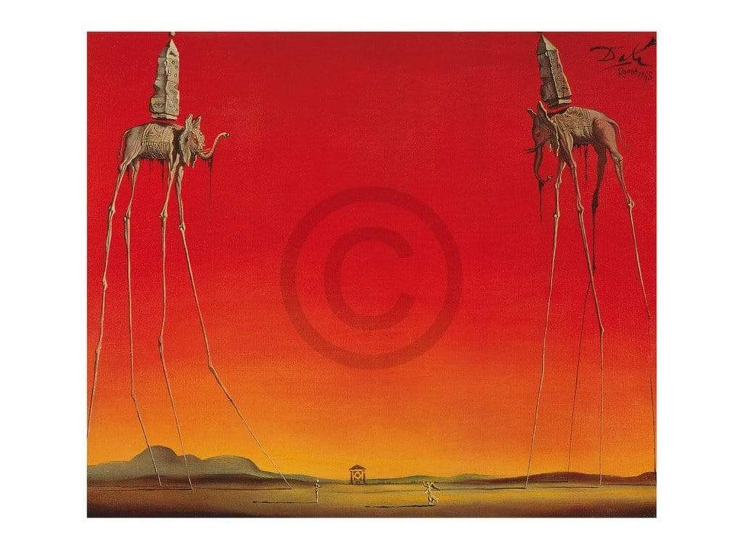 Affiche Art Salvador Dali - Les Elephants 80x60cm