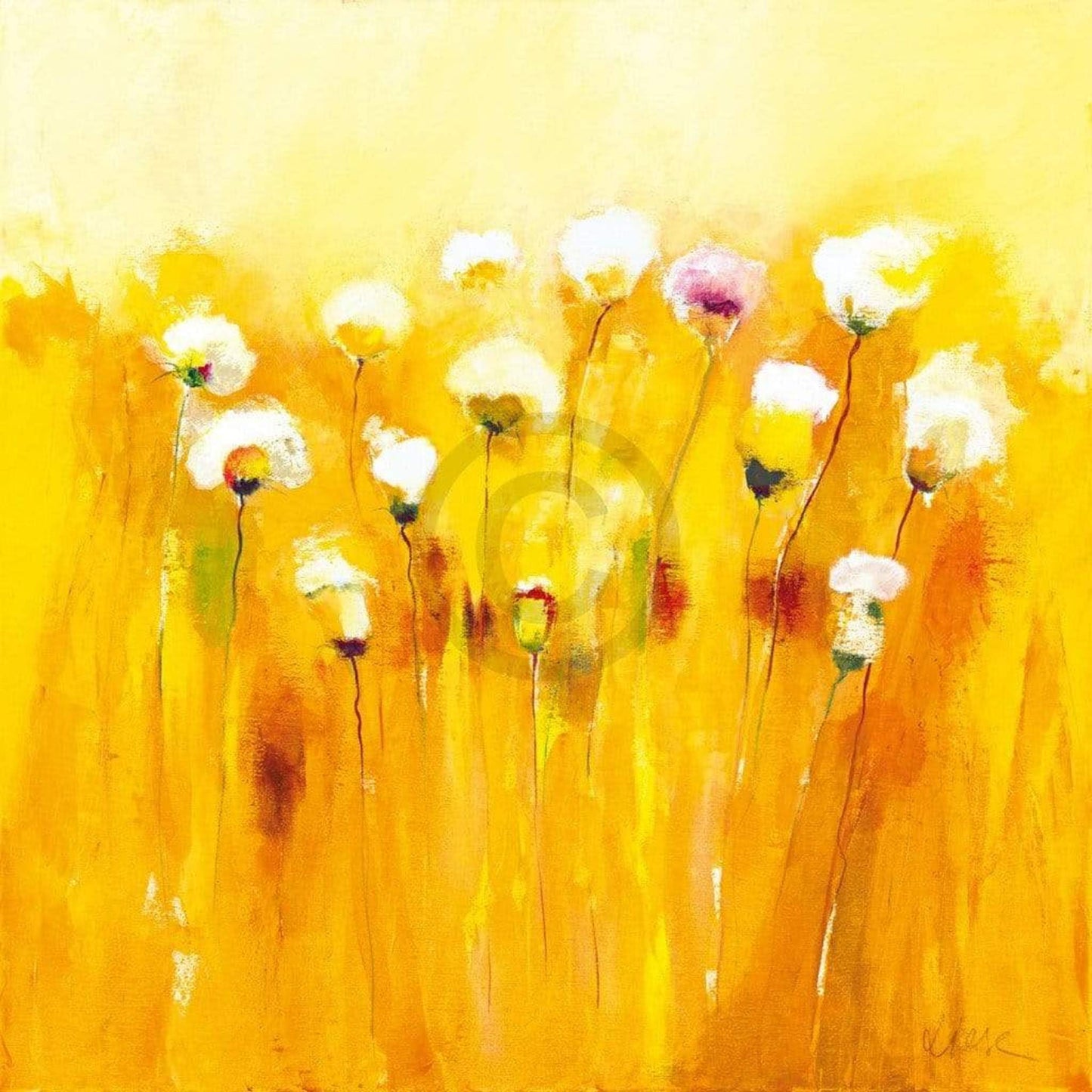 Affiche Art Anne L. Strunk - Summerfields I 70x70cm