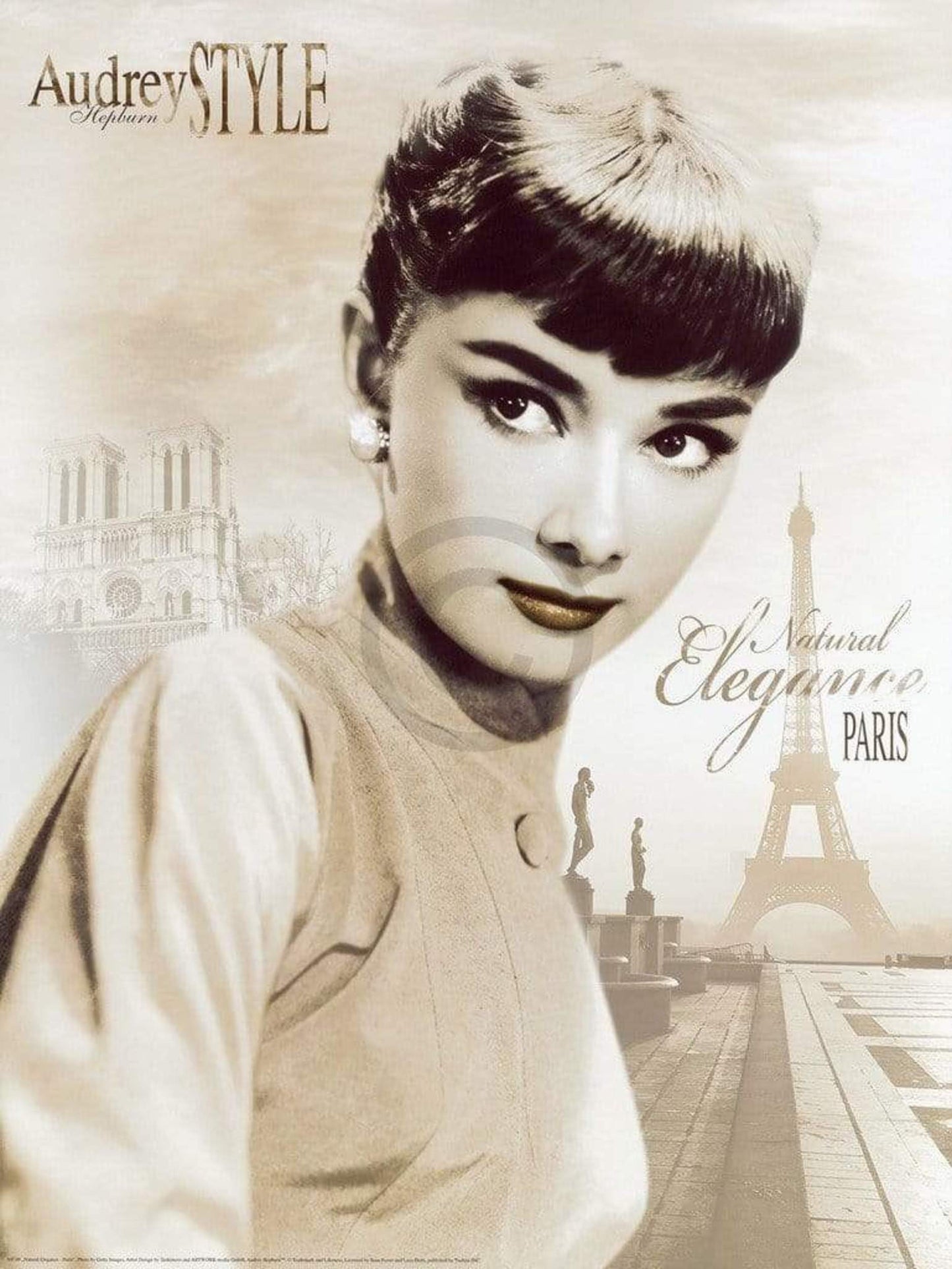 Affiche Art Tashimoto - Natural Elegance - Paris 60x80cm