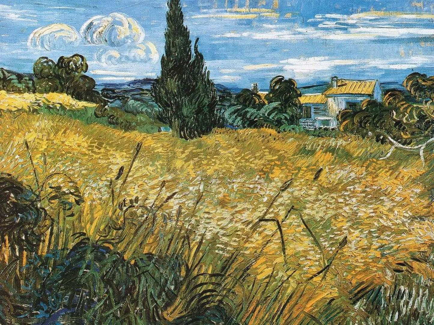 Affiche Art Vincent Van Gogh - Campo di grano 80x60cm