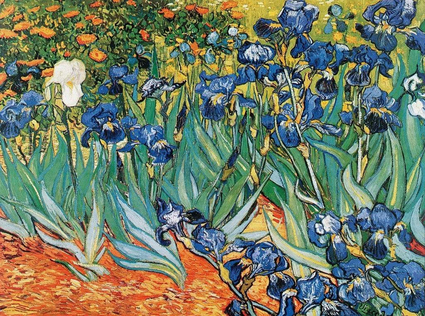 Affiche Art Vincent Van Gogh - Iris 80x60cm